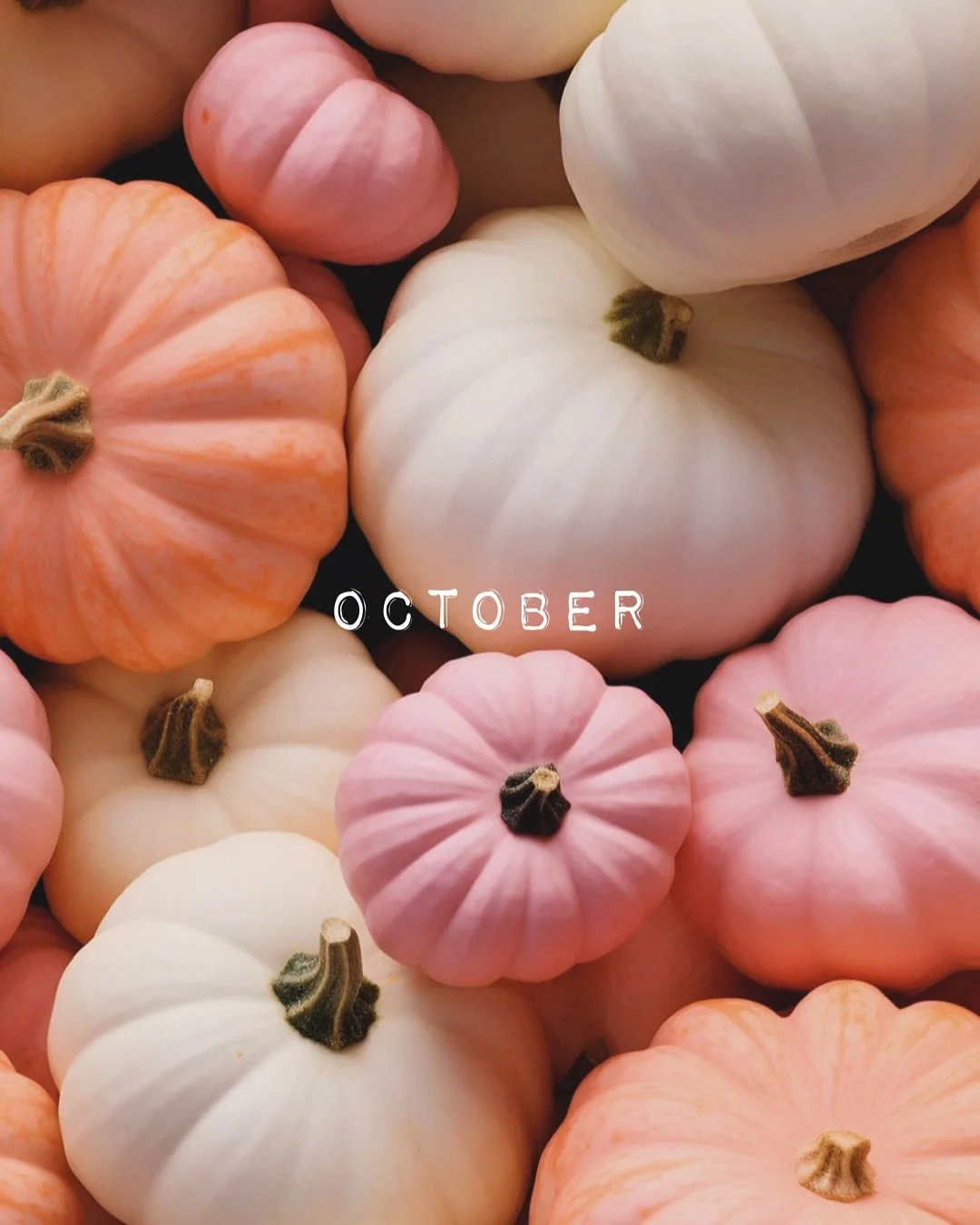 Autumn leaves falling down like pieces into place, and I can picture it after all these days. 🌙🍂✨

I want to be like the cool kids and post ~photo dumps. But I didn&rsquo;t take very many pictures this month. Being sick for ten days straight at the