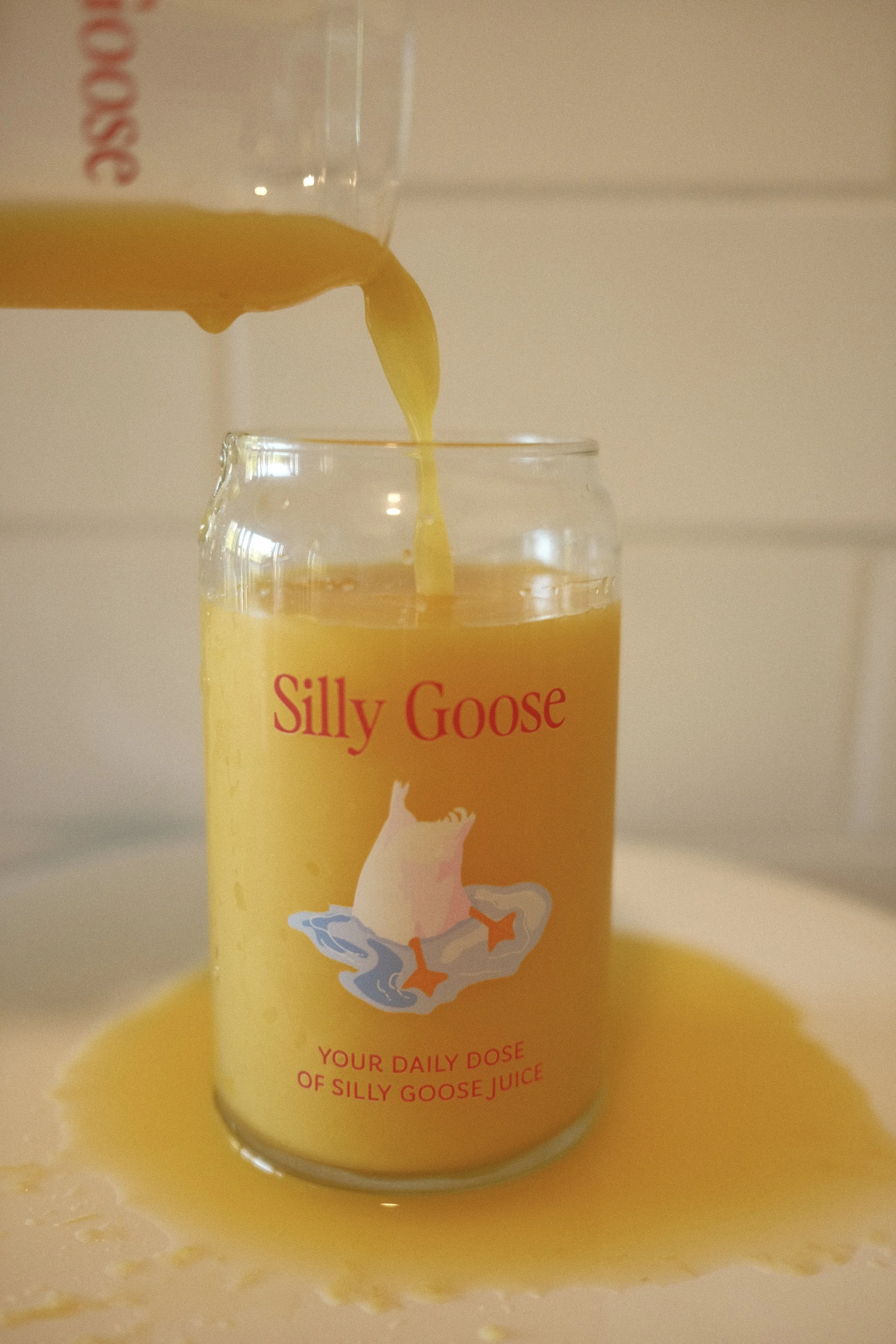 Silly Goose Glasses Set