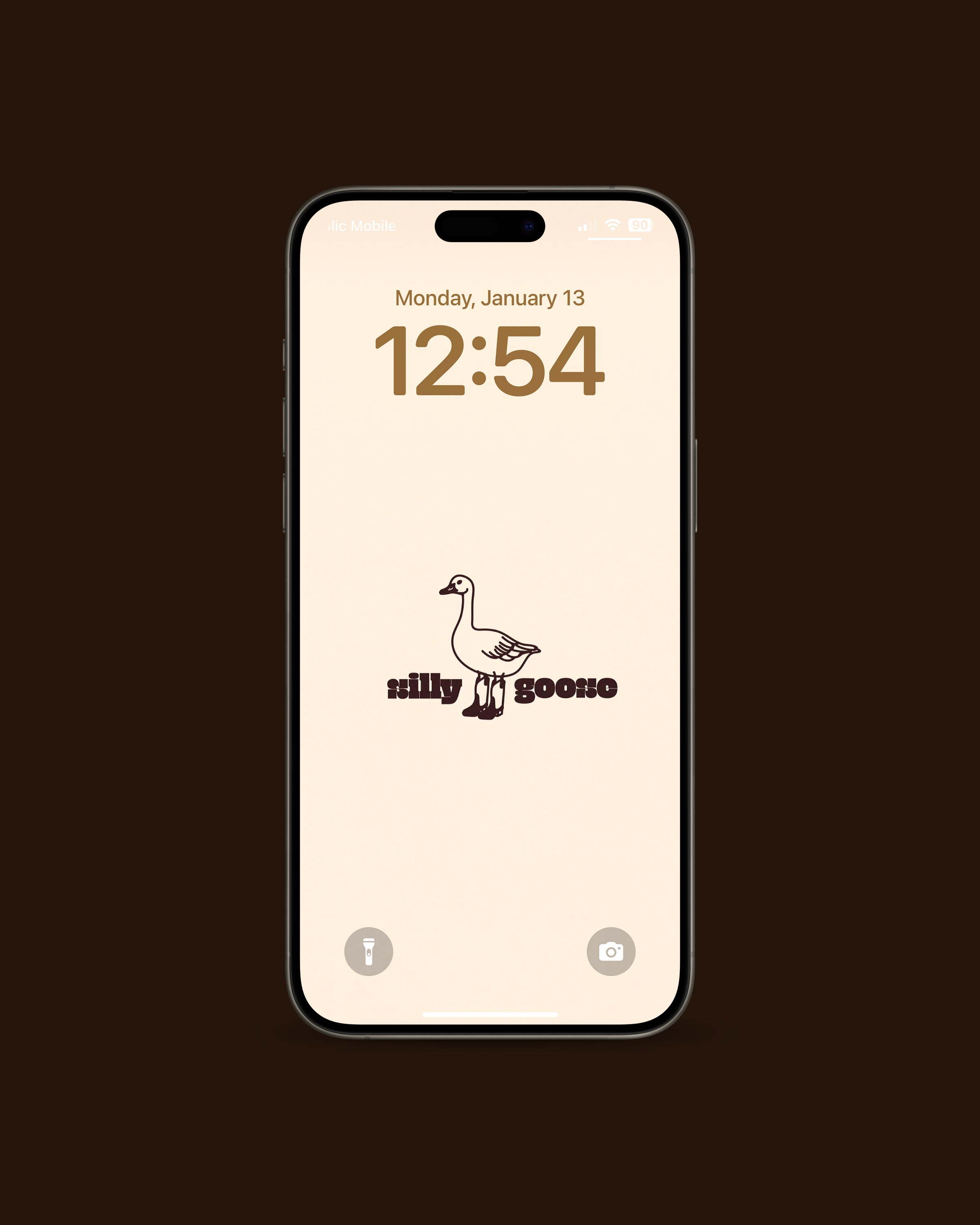 Silly Goose-back 1.jpg
