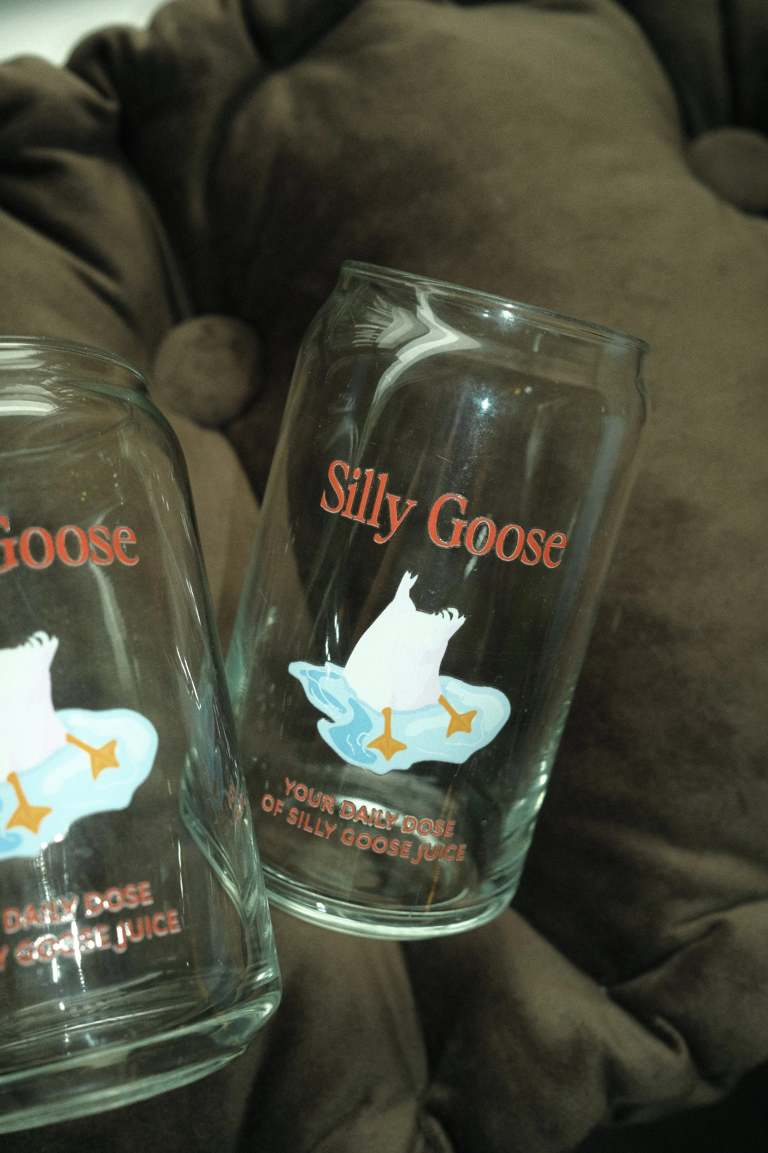Silly Goose Glasses Set