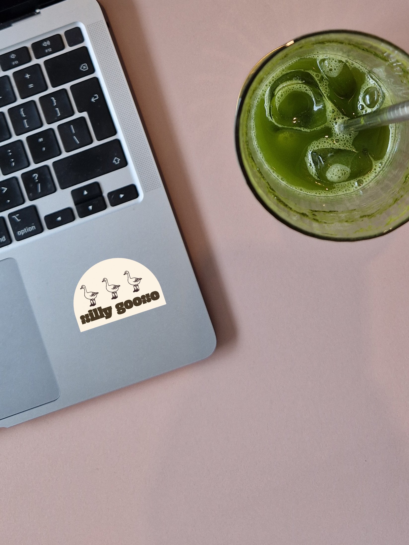 Silly Goose Sticker | 3" Vinyl Sticker