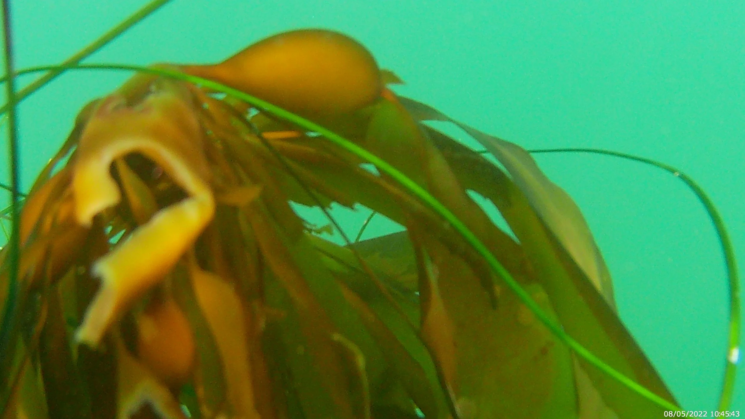 Stupid Computers!