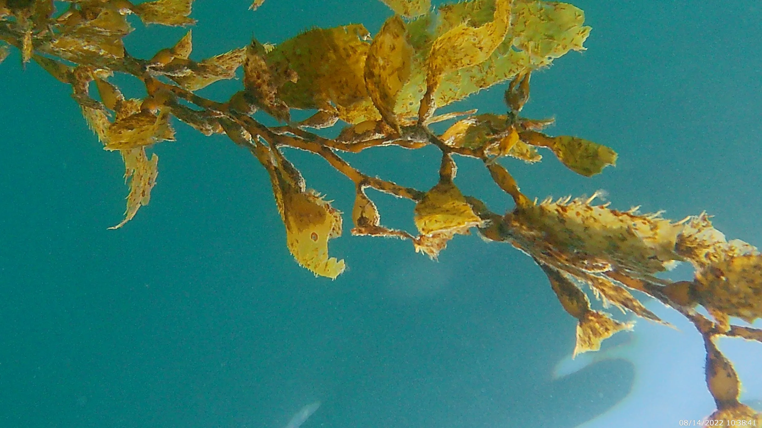 Exercise in Futility