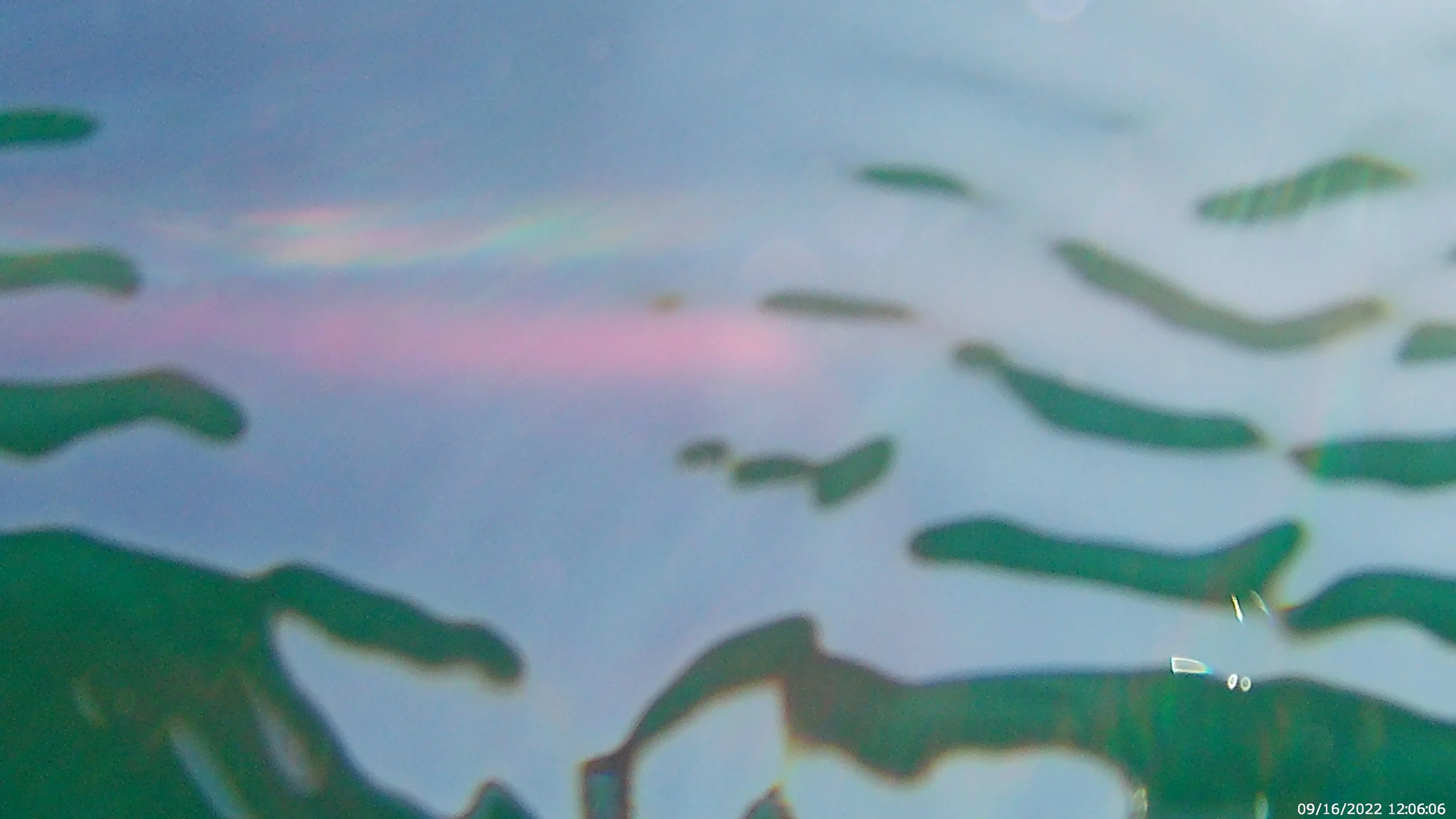 This is Living Water