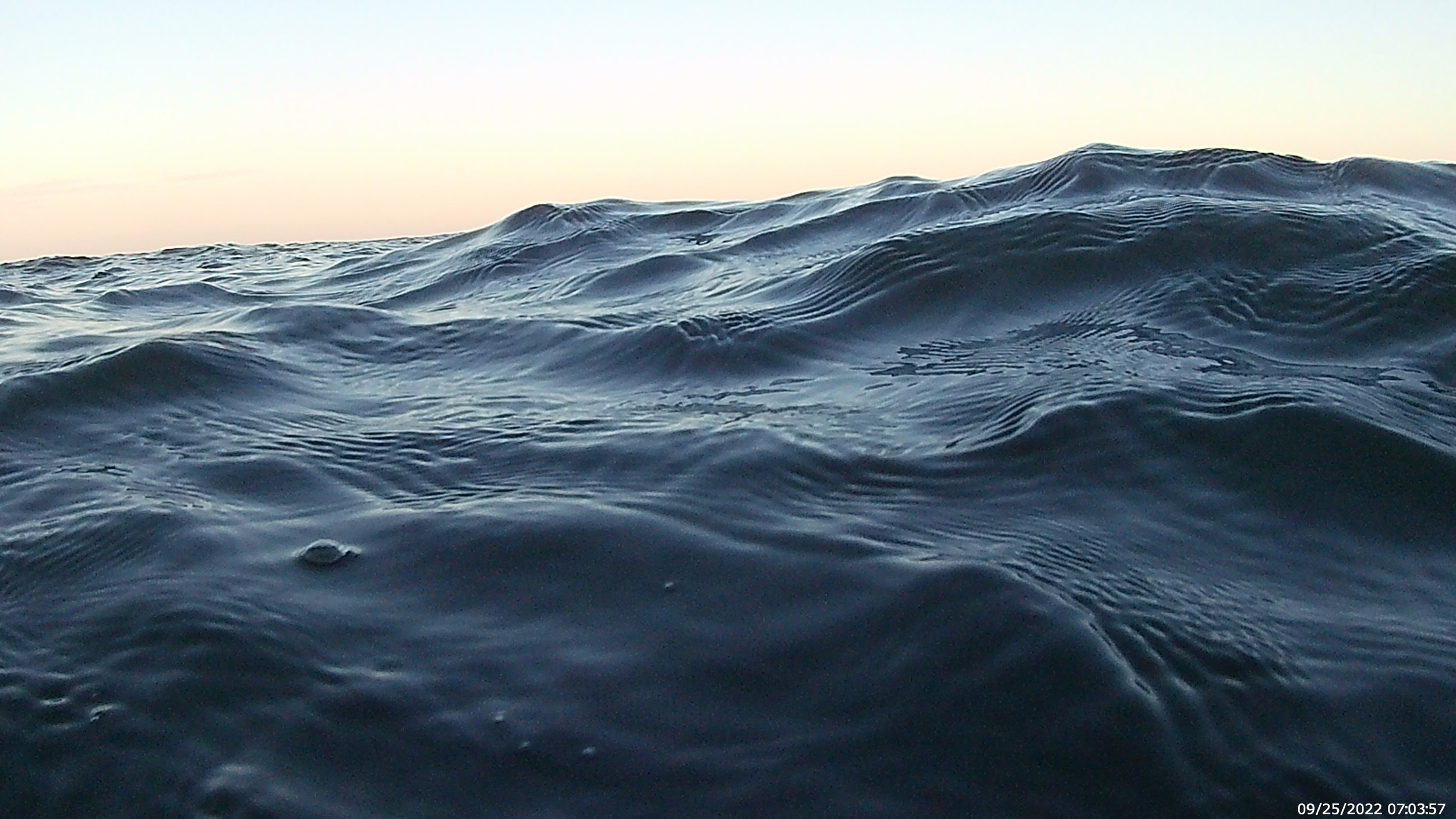 Topsy Turvy Jumbly Water