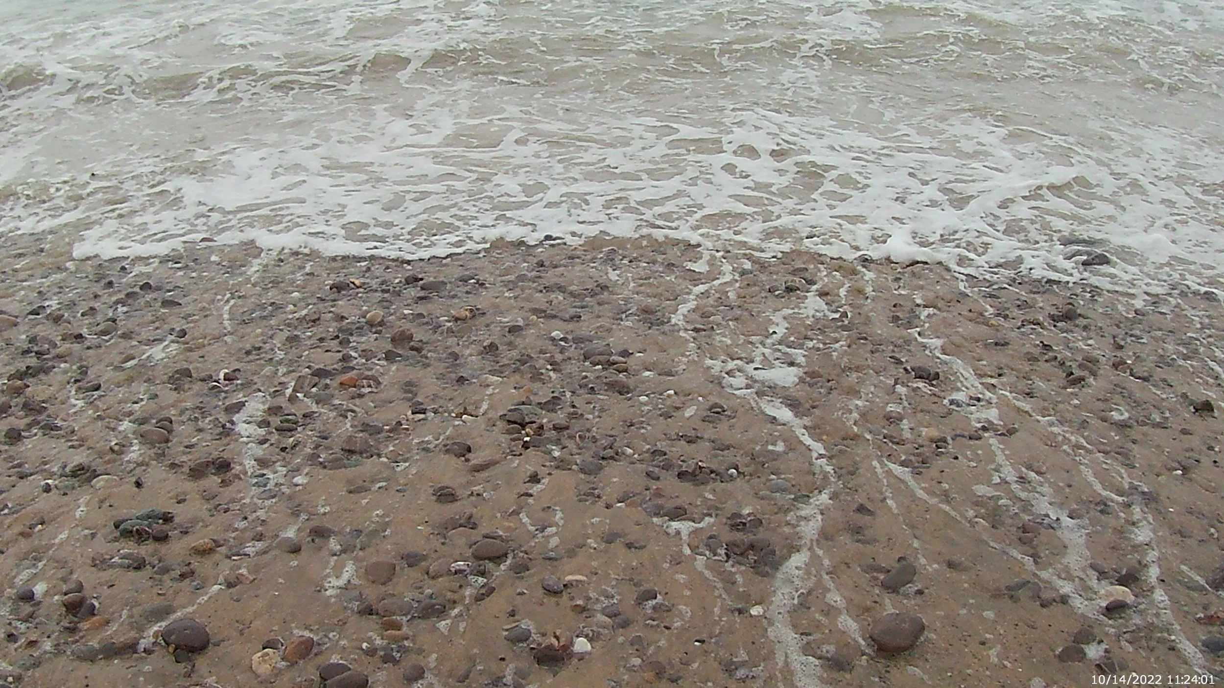 The Journal Talks Back