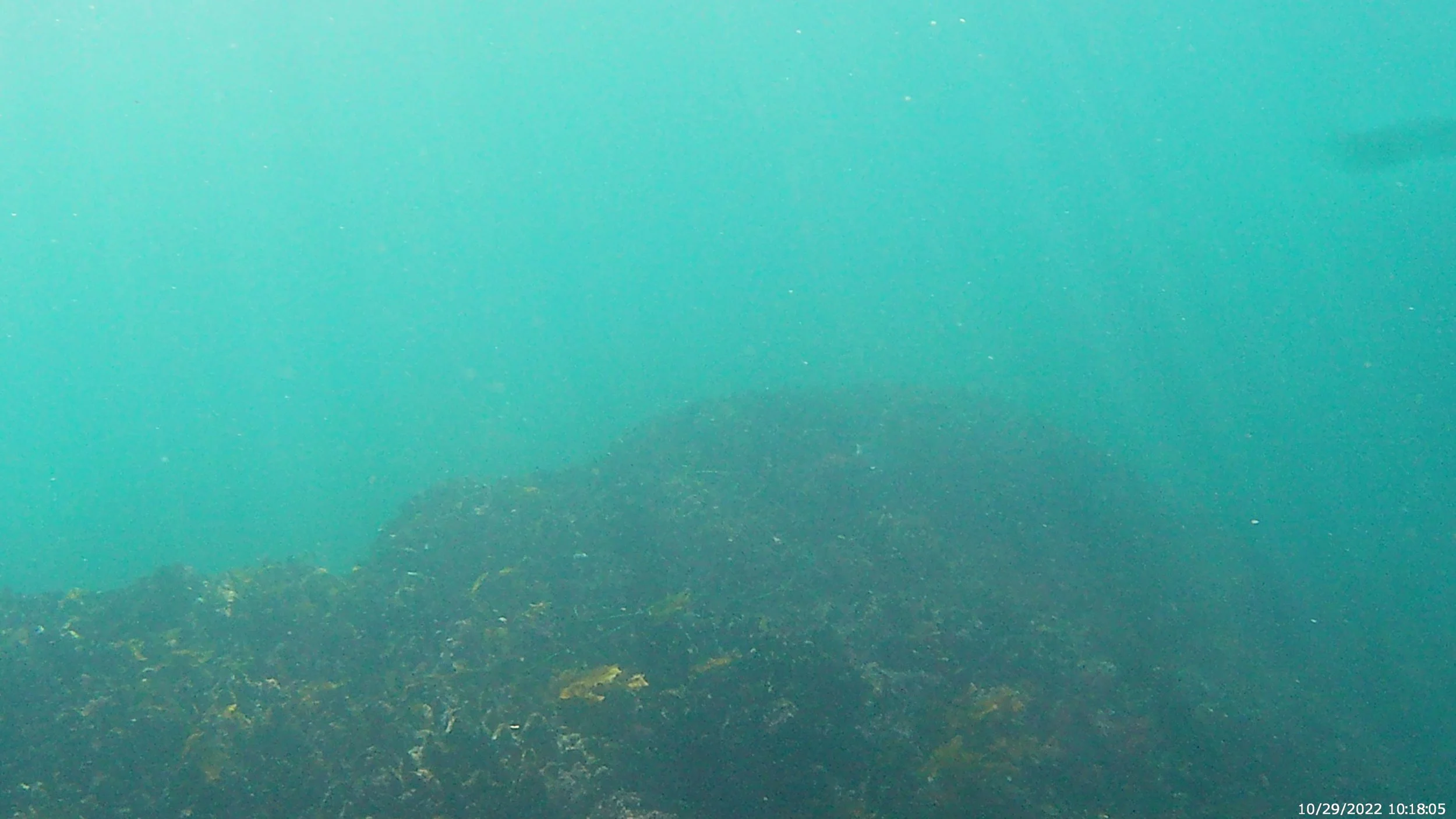 The Sand Always Comes Back