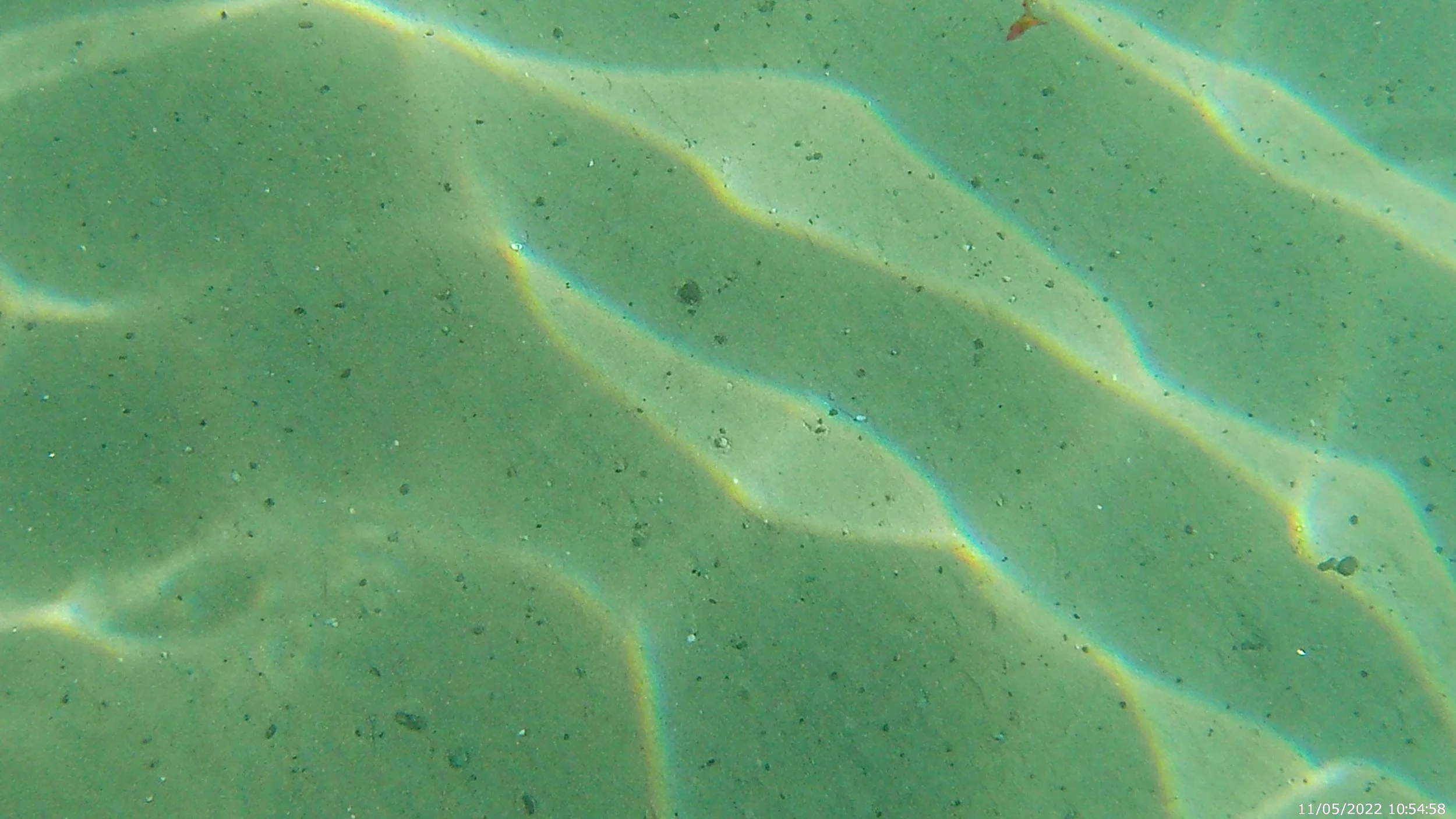 Oh for the Love of the Quanta