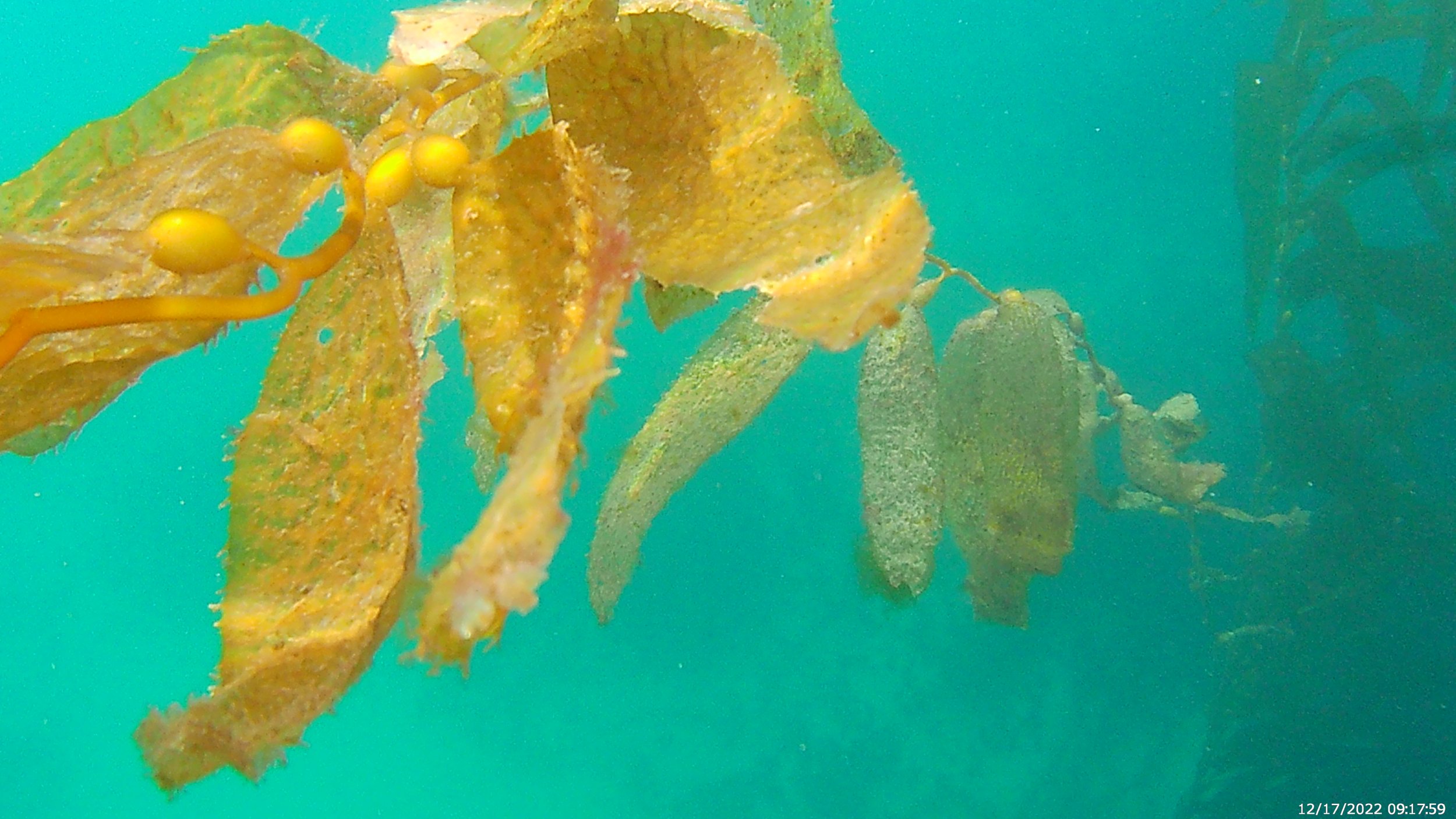 Moral of this Story: Keep the body Alive