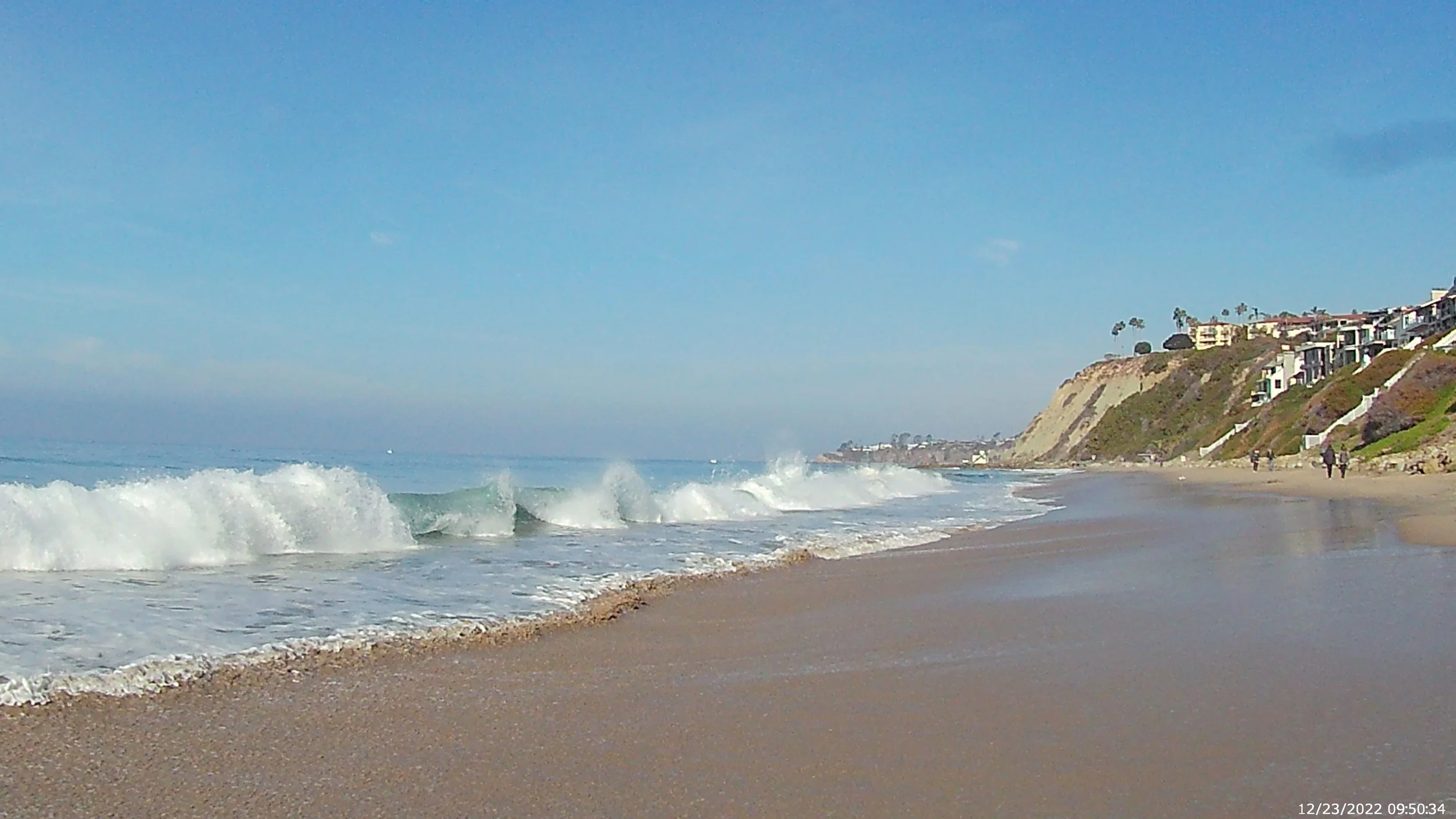 What the Heck is Stinging Me?