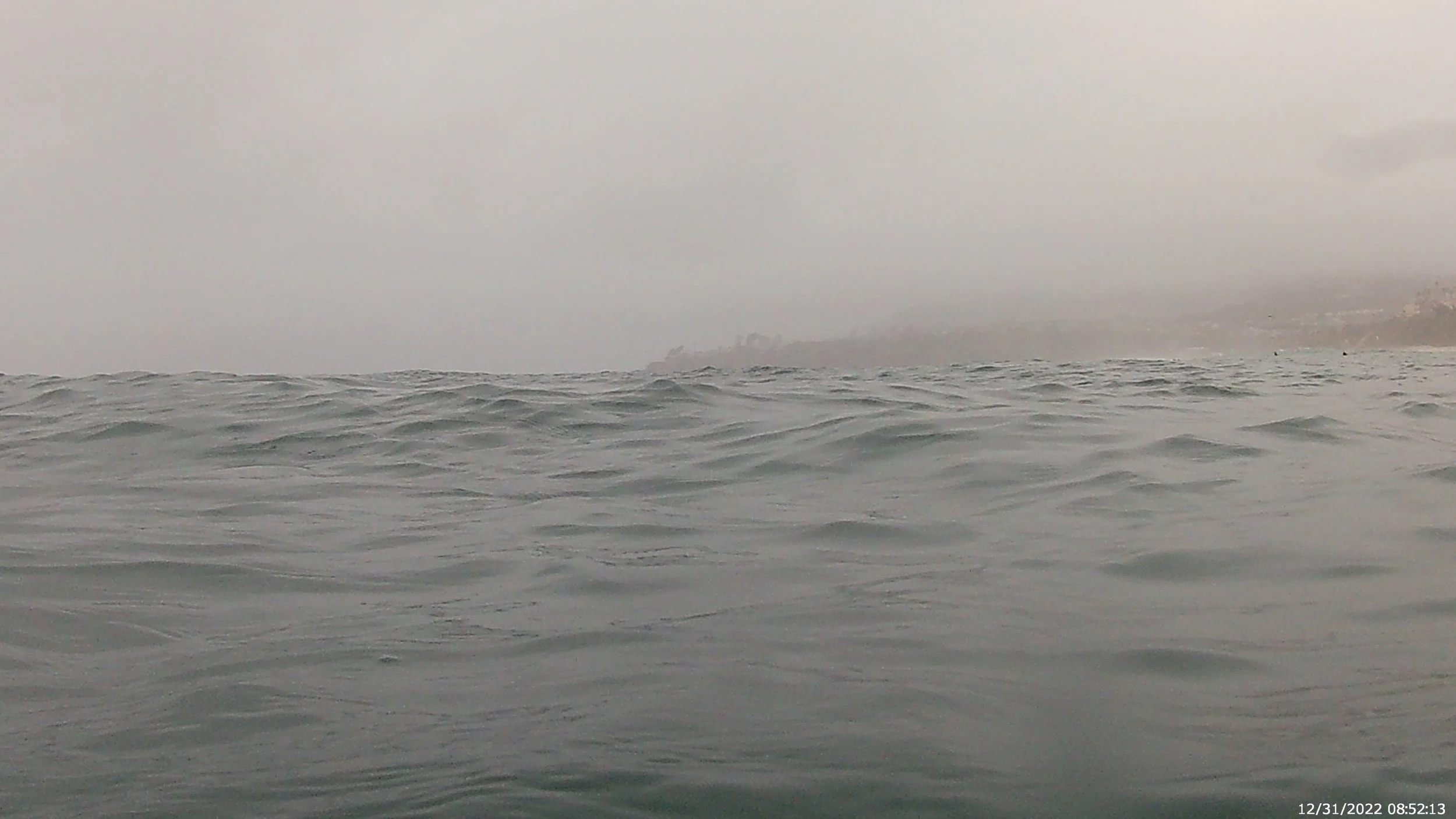 Drizzly Final Swim of 2022
