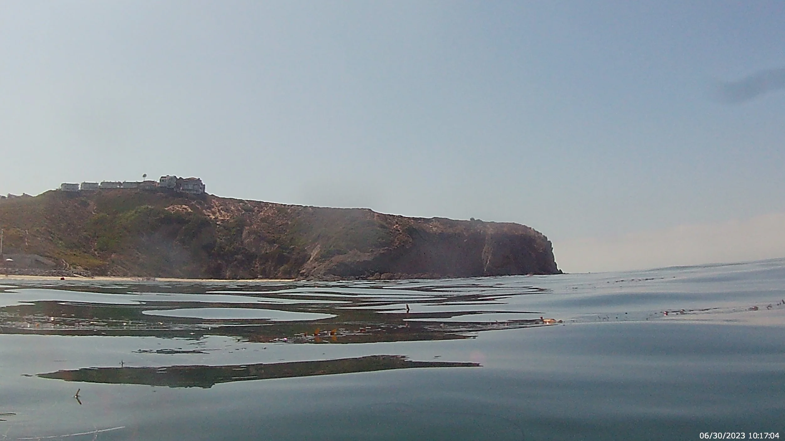 Sea Lion Central