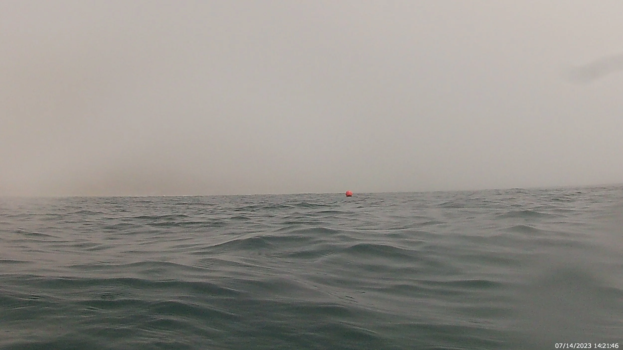 On the Edge of Summer and Fog