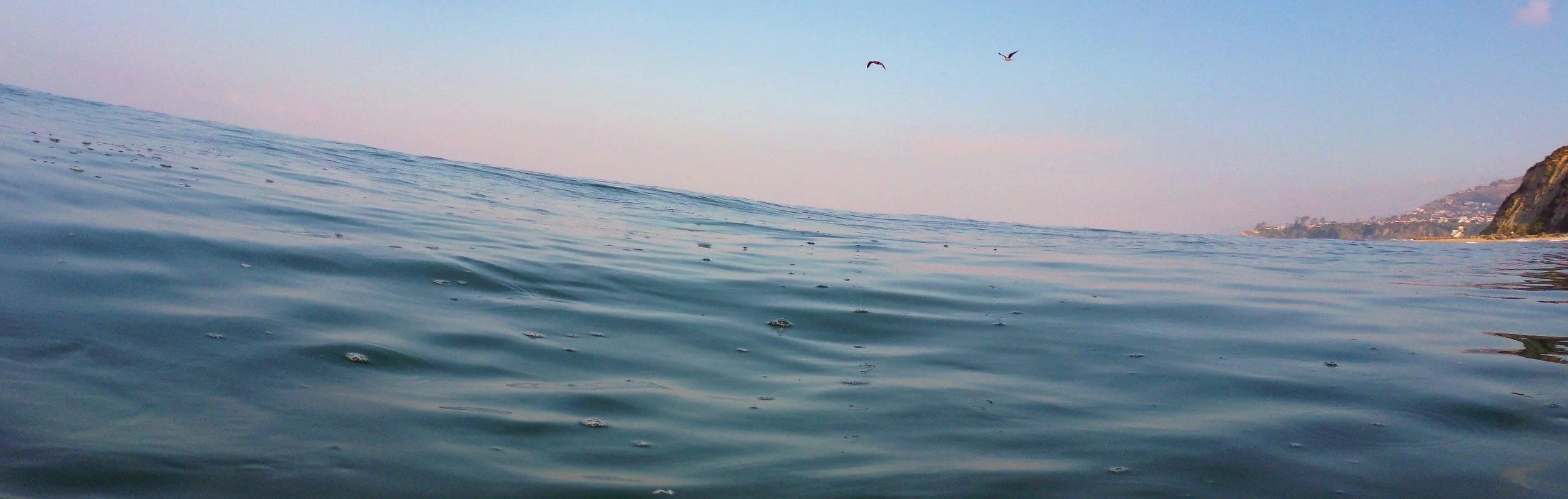 All the Way To the Horizon