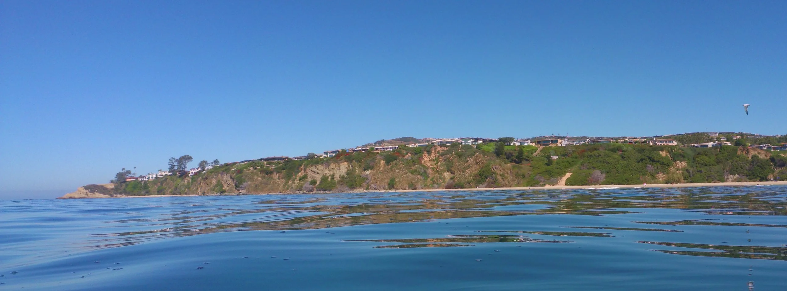 Better that Punxsutawney