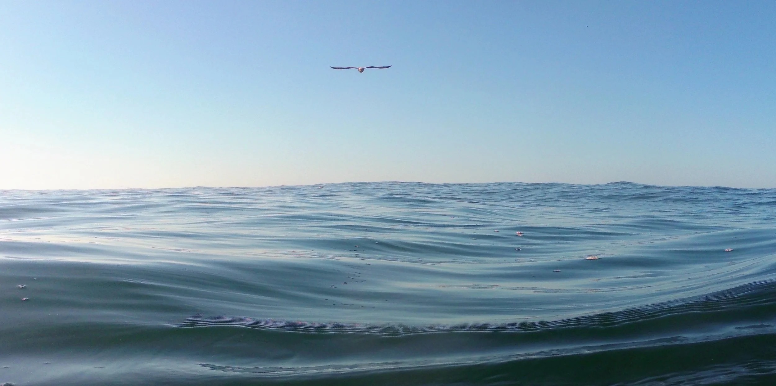 Dropped from Another Dimension