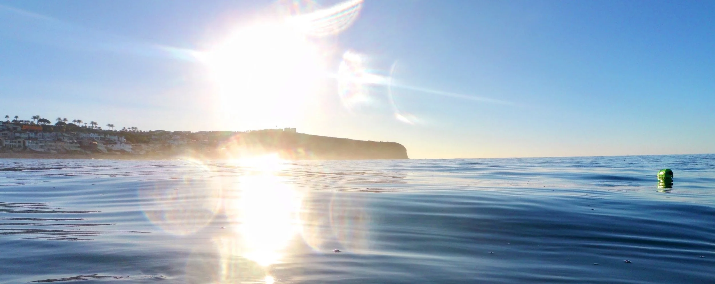 Neptune’s Christmas Trees