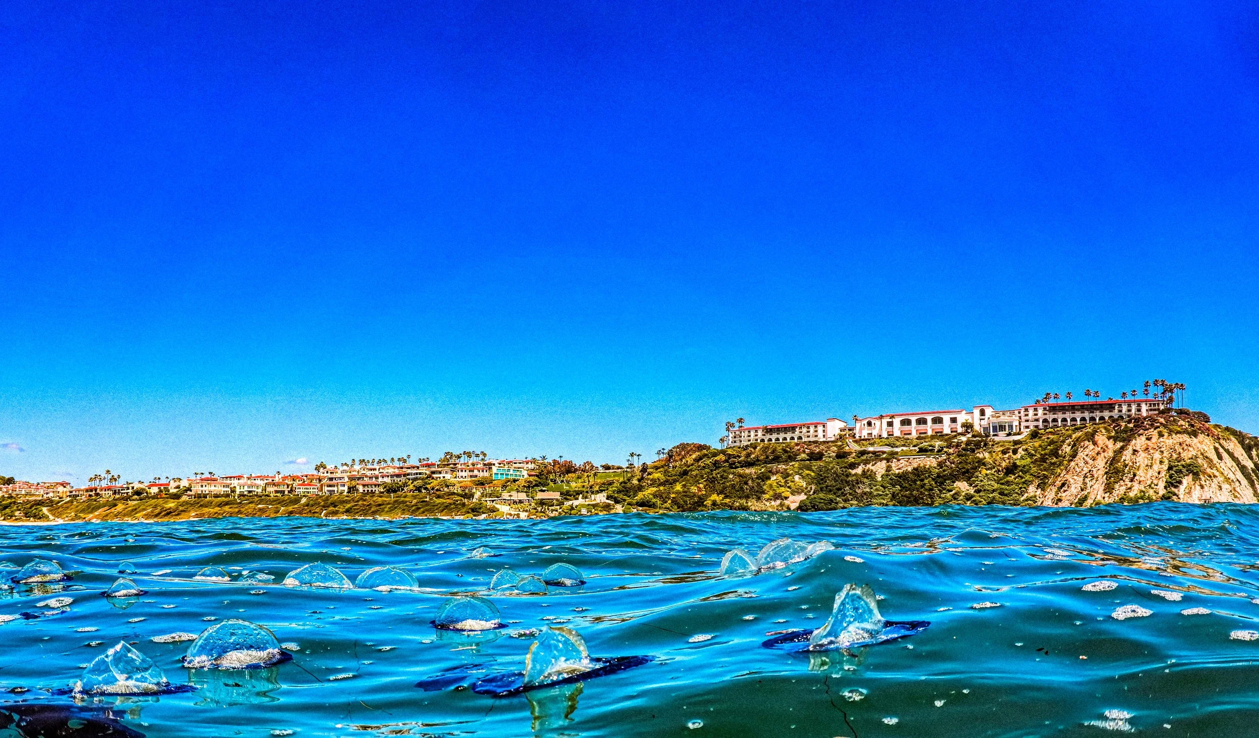 Sailors in the Water