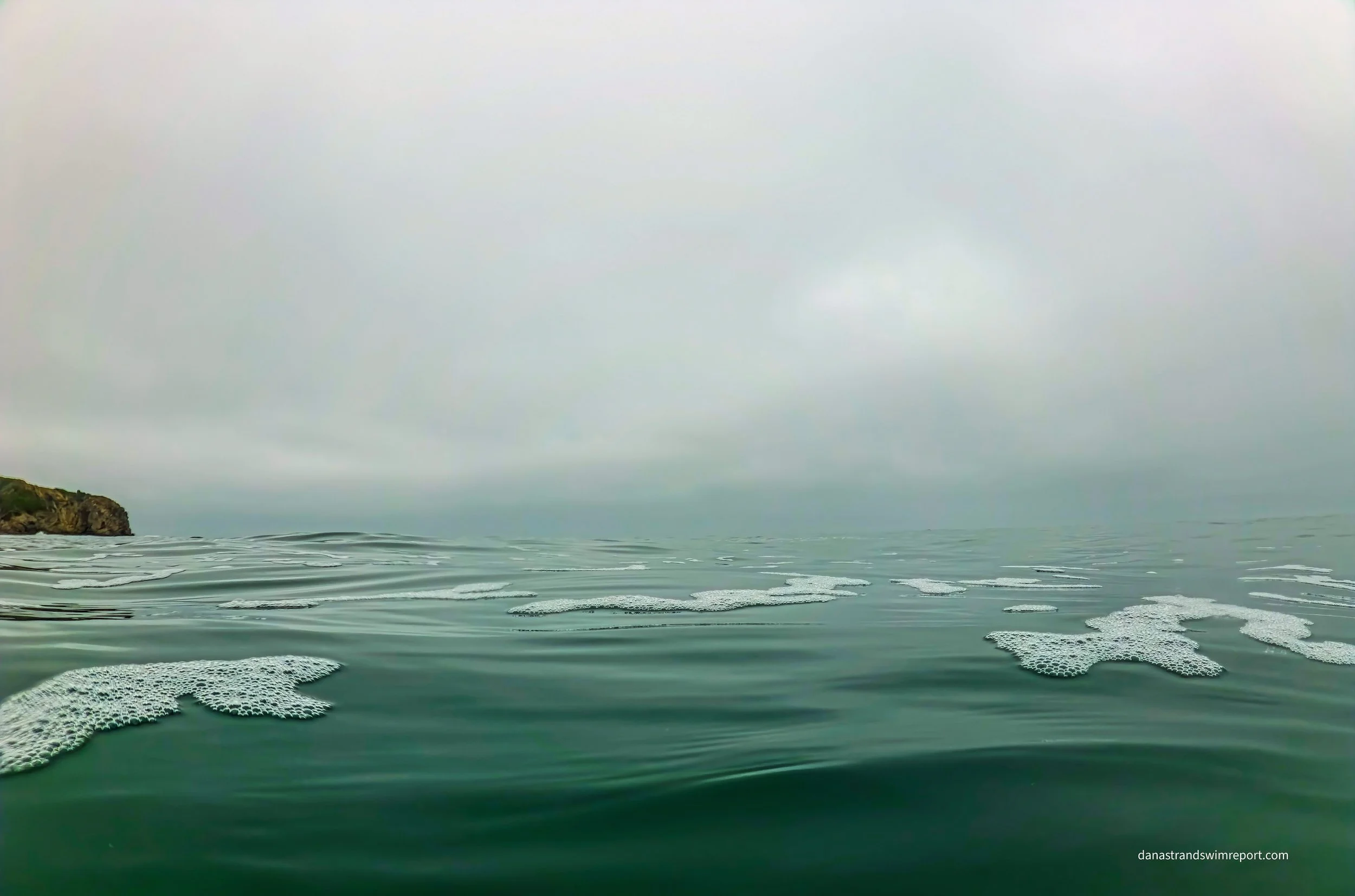 Did You See Any Orcas?