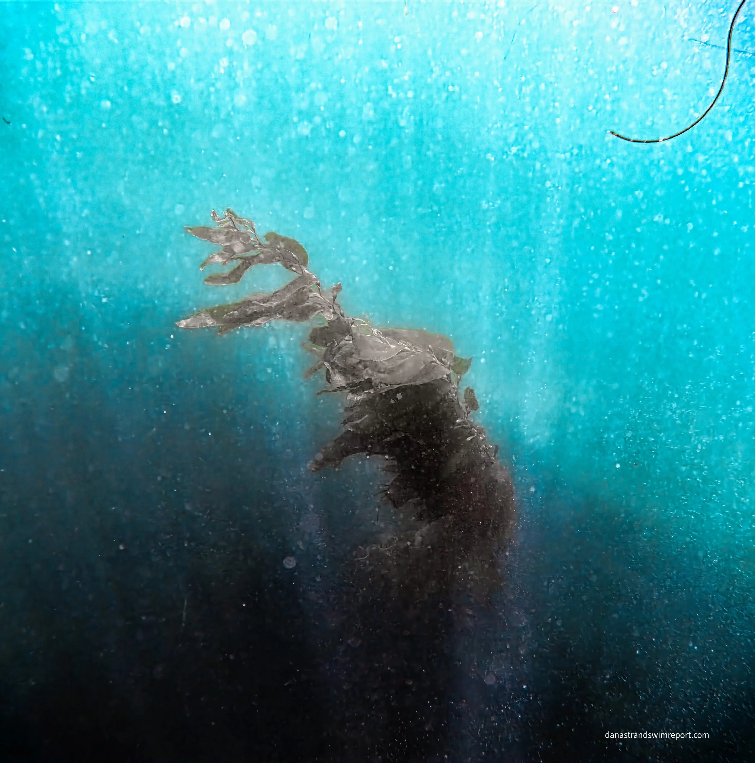 Fog Fighting
