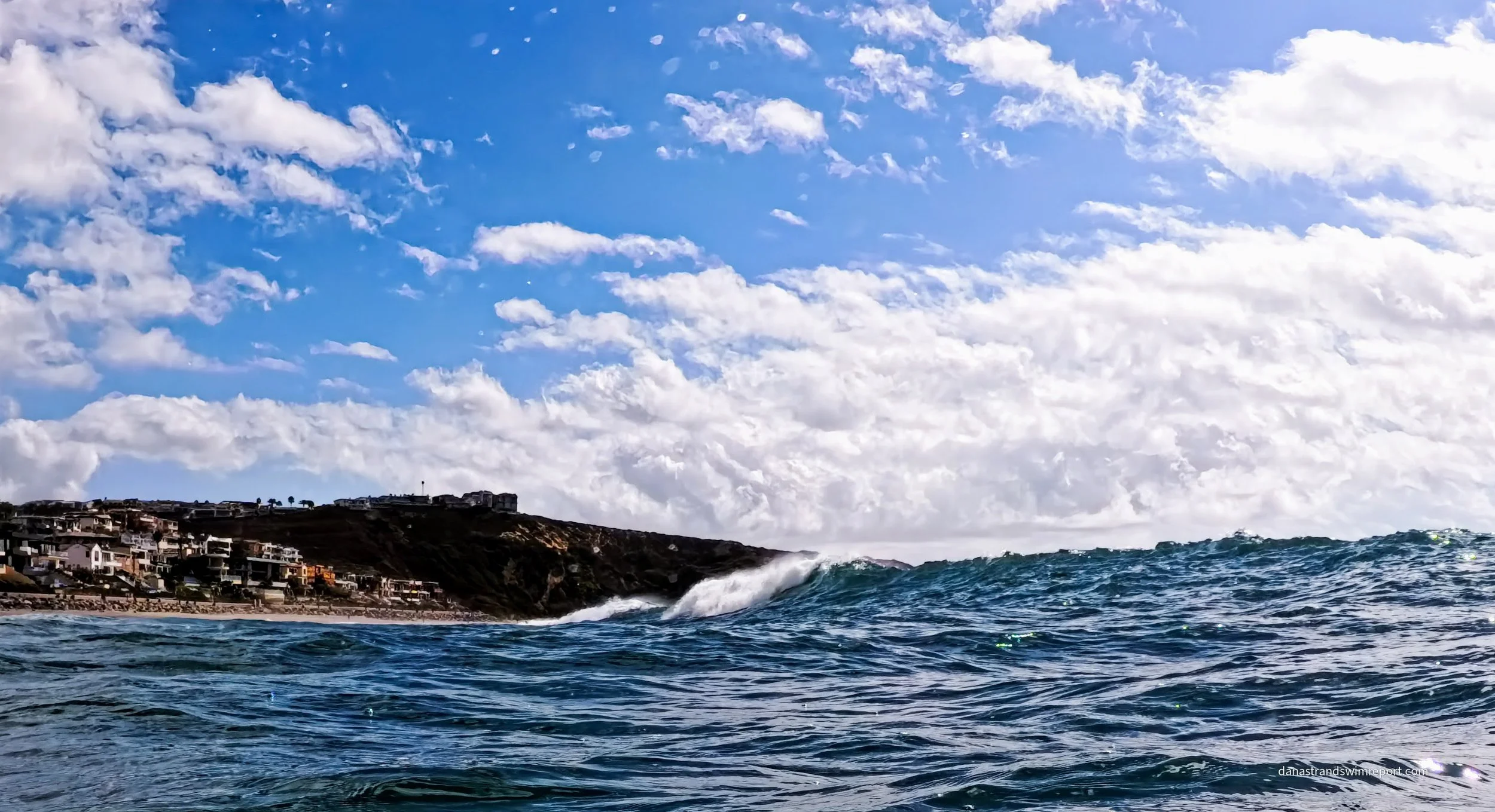 I Relaxed My Whole Body and Surrendered to the Ocean and You Wouldn’t Believe what Happened Next