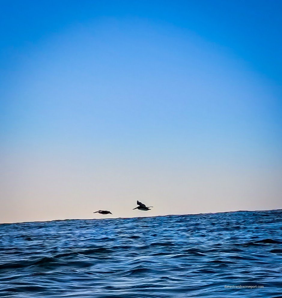 Offshore Breeze
