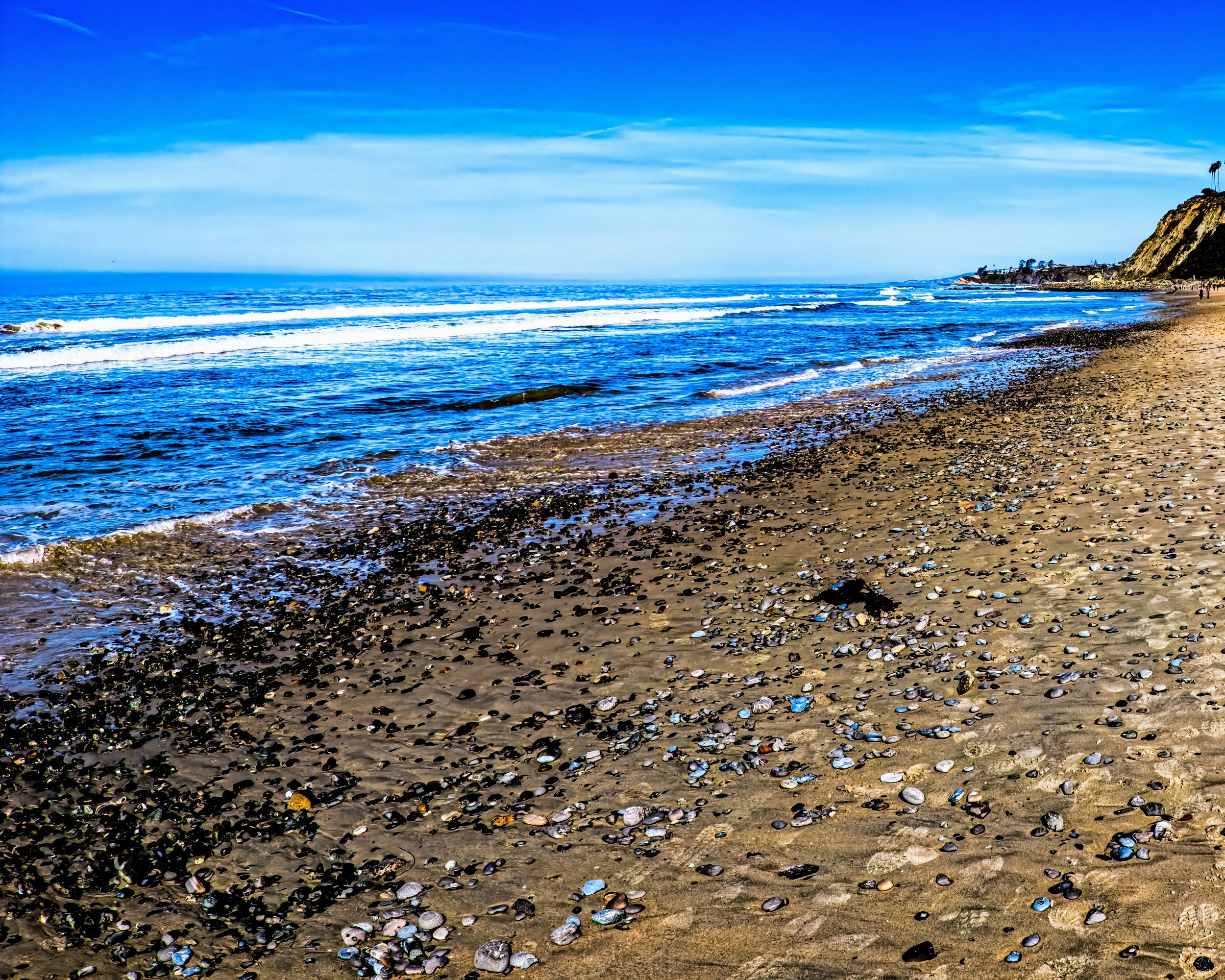 Tasty Red Tide