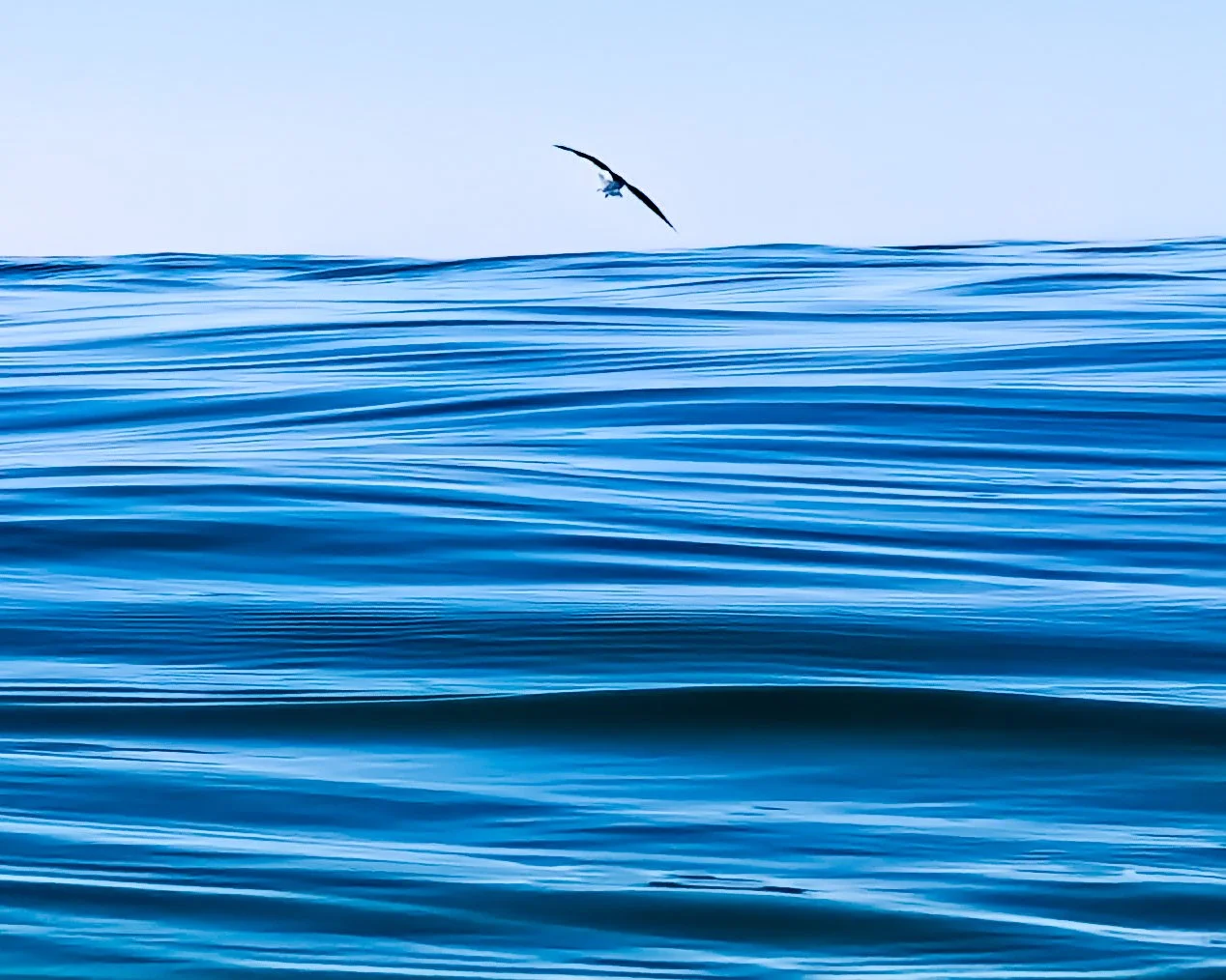 At the Border of Pretty Darn Cold