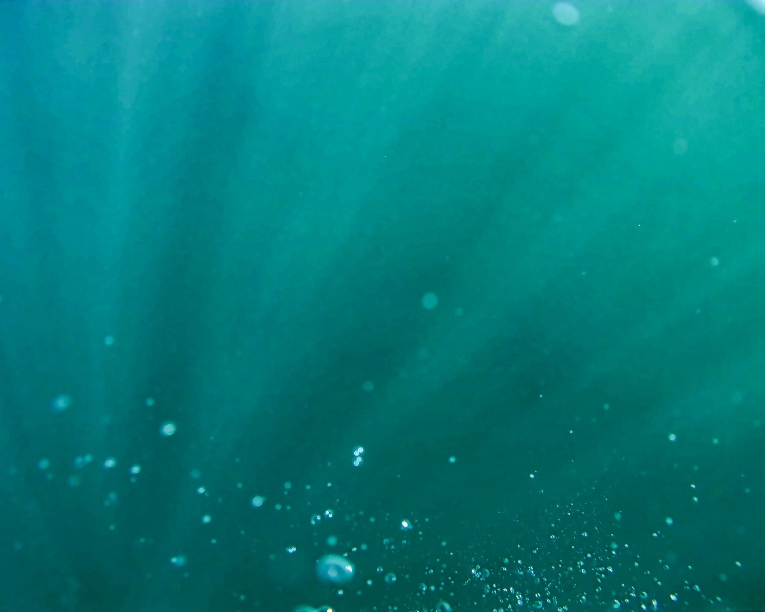 Summer Left its Fins