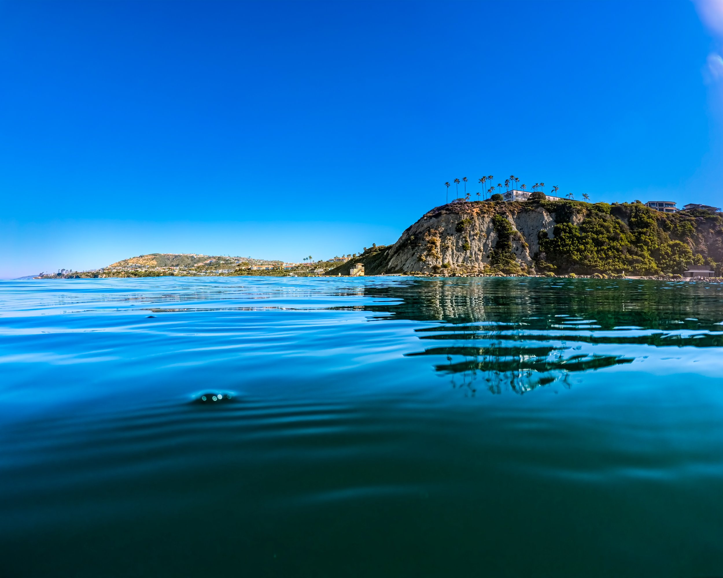 The One Apart From the 99