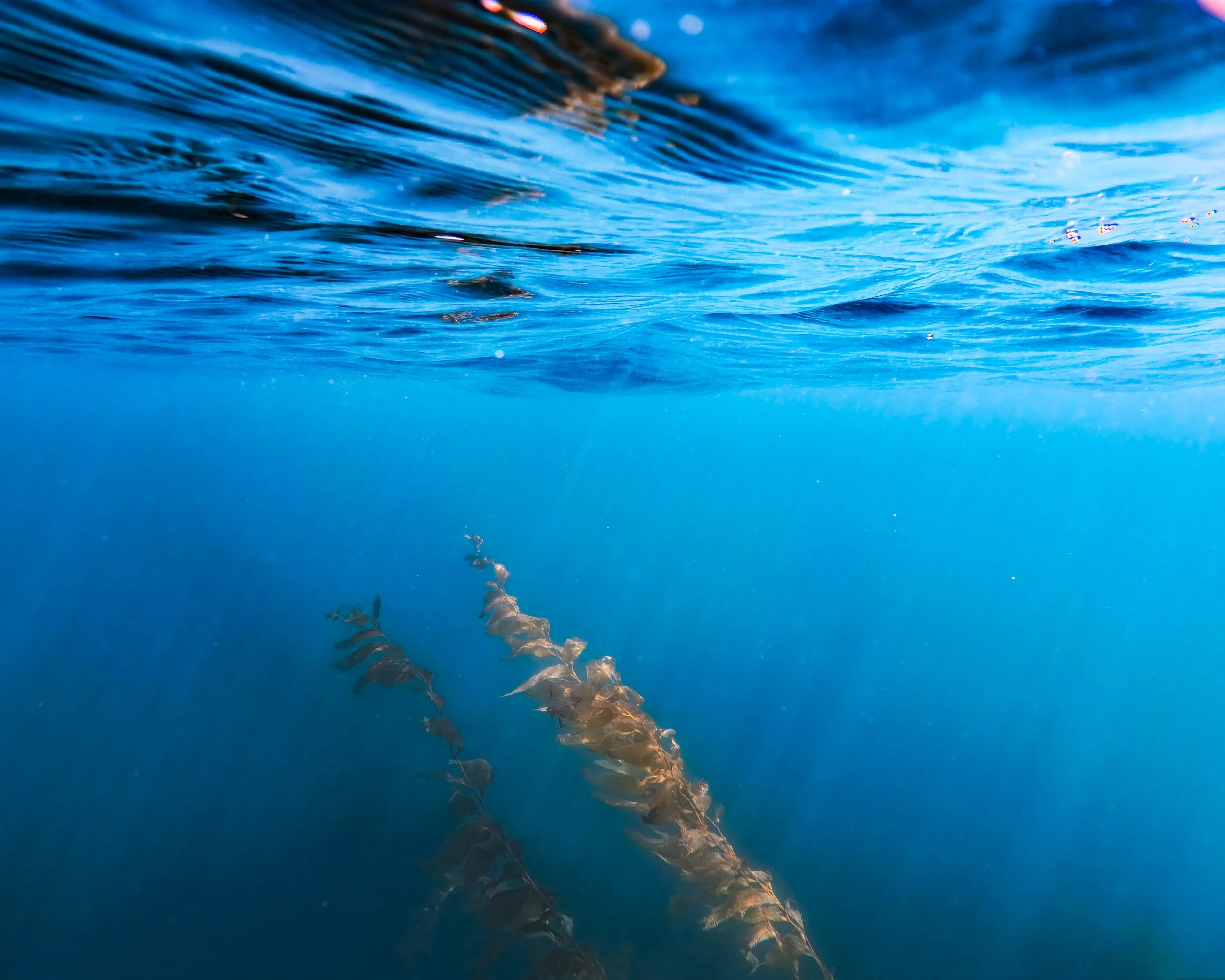 As Wonderful as We Let It