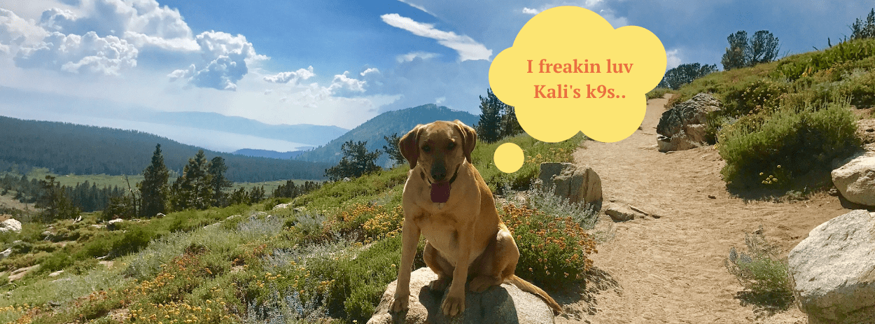 Kali's K9s - Seattle Dog Boarding & Outings