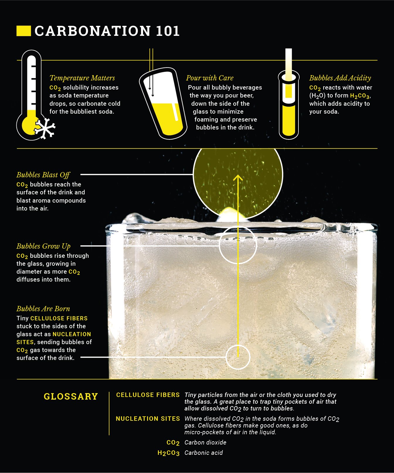 CS_Ilos_Carbonation_New-01.jpg
