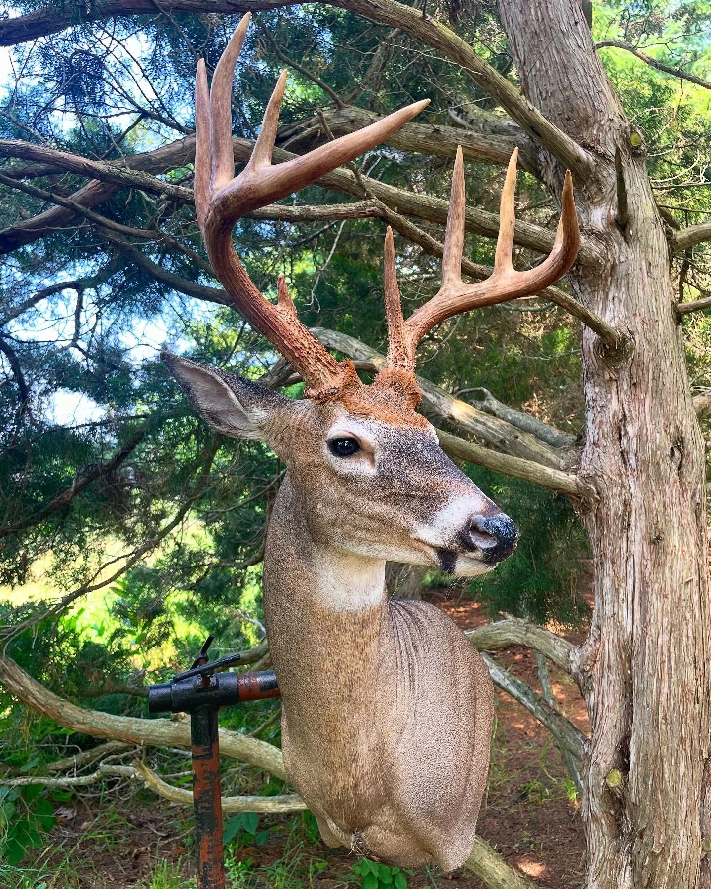 98FE4B26-09A0-40F8-A954-6B879C7E0325 2.JPG