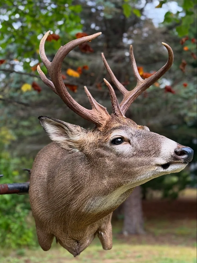 30D0F65F-6409-4810-ADAA-87868B3B966C 2.JPG