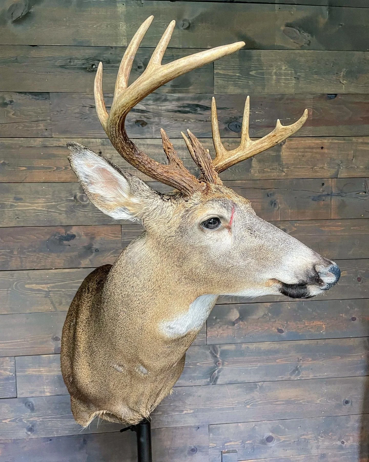 0C83DD68-6238-4F0A-B4B7-514D6A6F6E94 2.jpeg