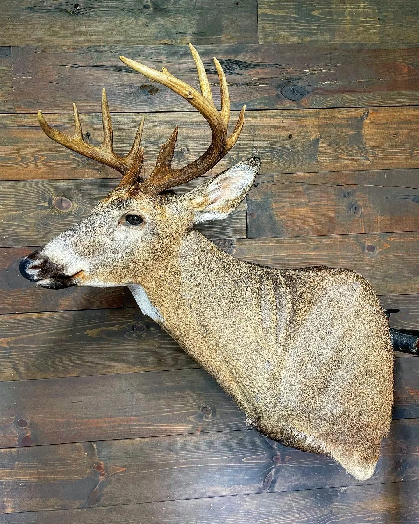 B1C9F0E2-151B-4BEE-AAAE-E6C58E3198EF 2.jpeg