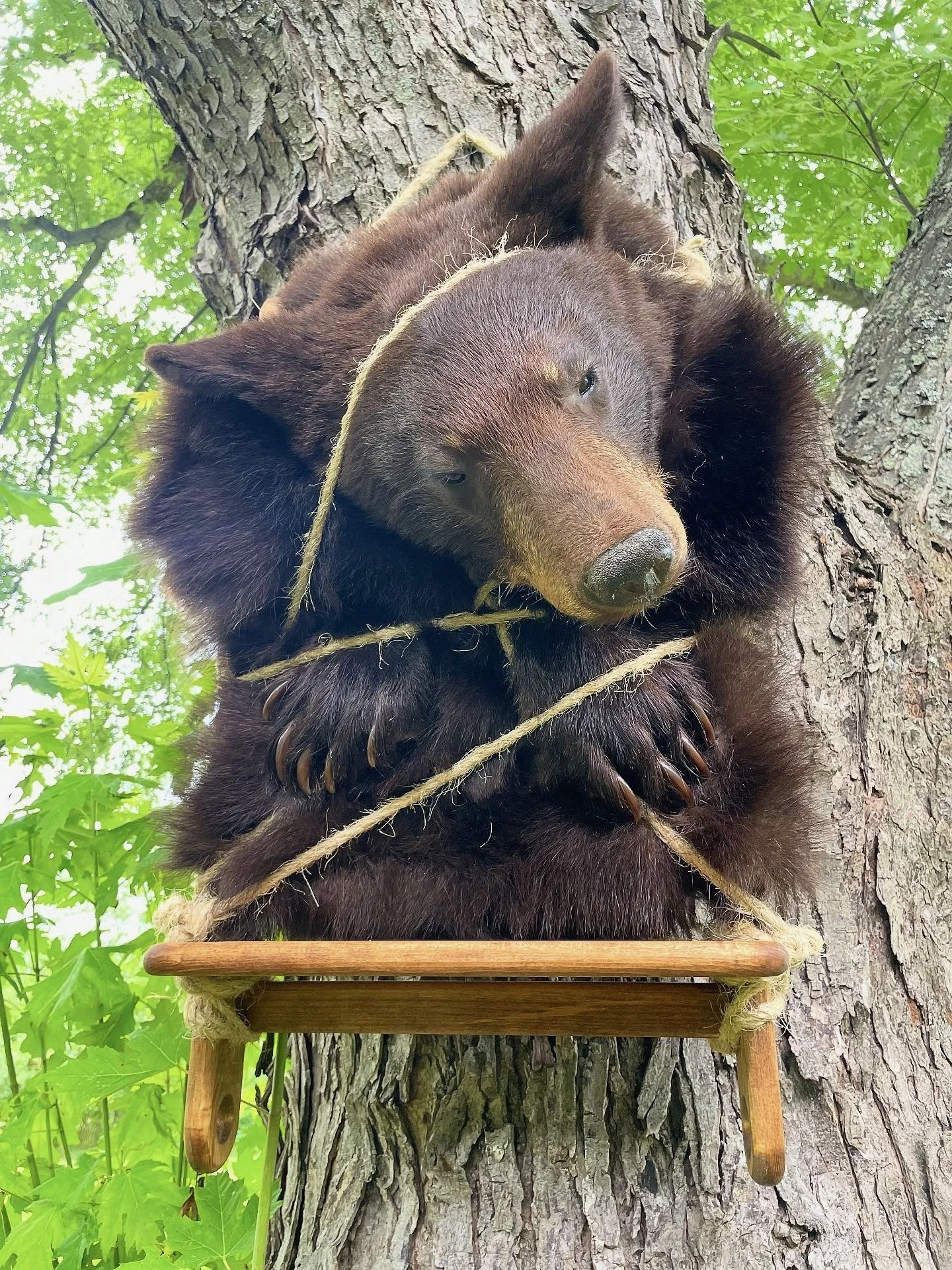 51569EEE-0302-43FF-8218-24558EFE59A8 2.jpg