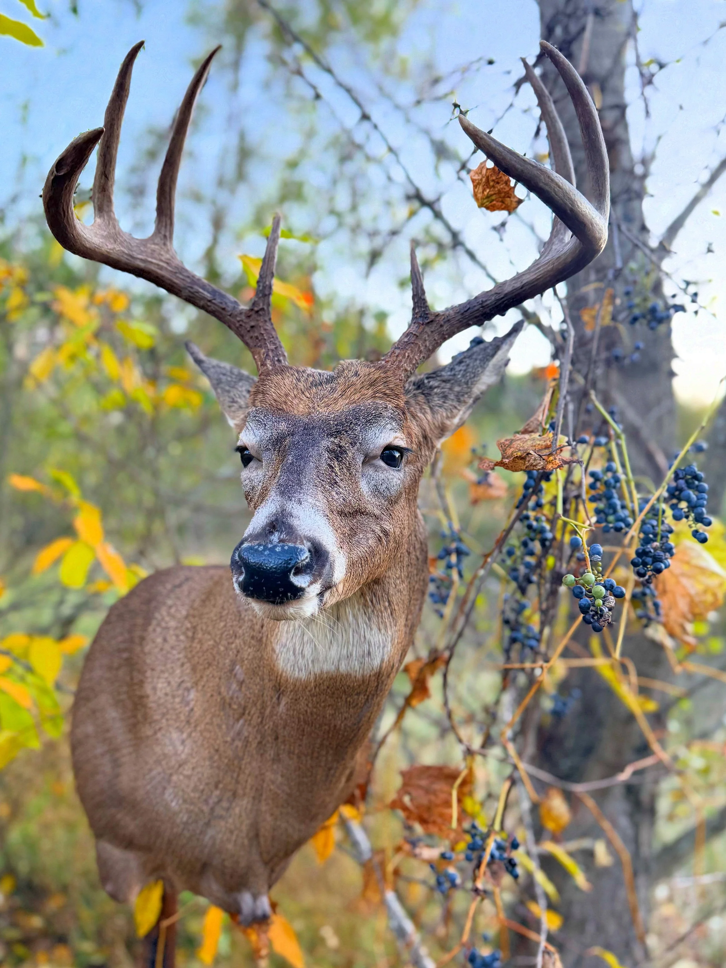 8F7FAD85-E02A-48E4-A3ED-EB148532544C 2.JPG