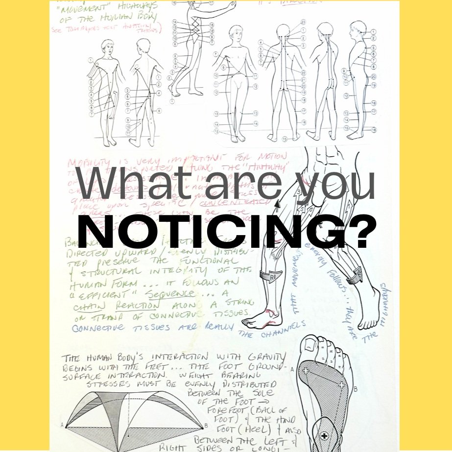 The Power of Attention: Transforming Your Movement Habits for Better Well-being