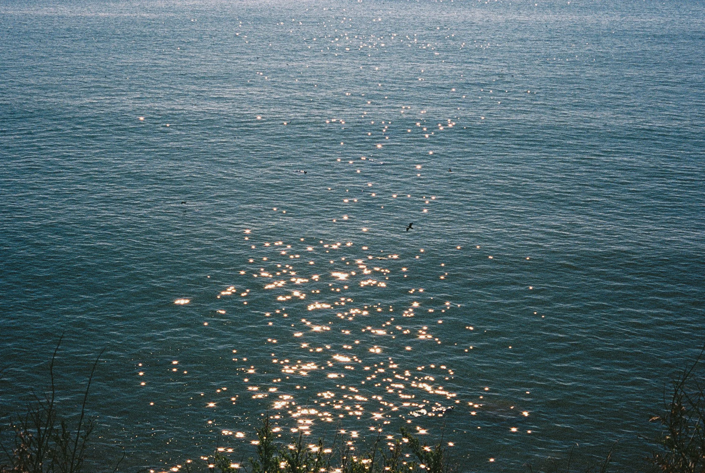 SANTA CRUZ-5.jpg