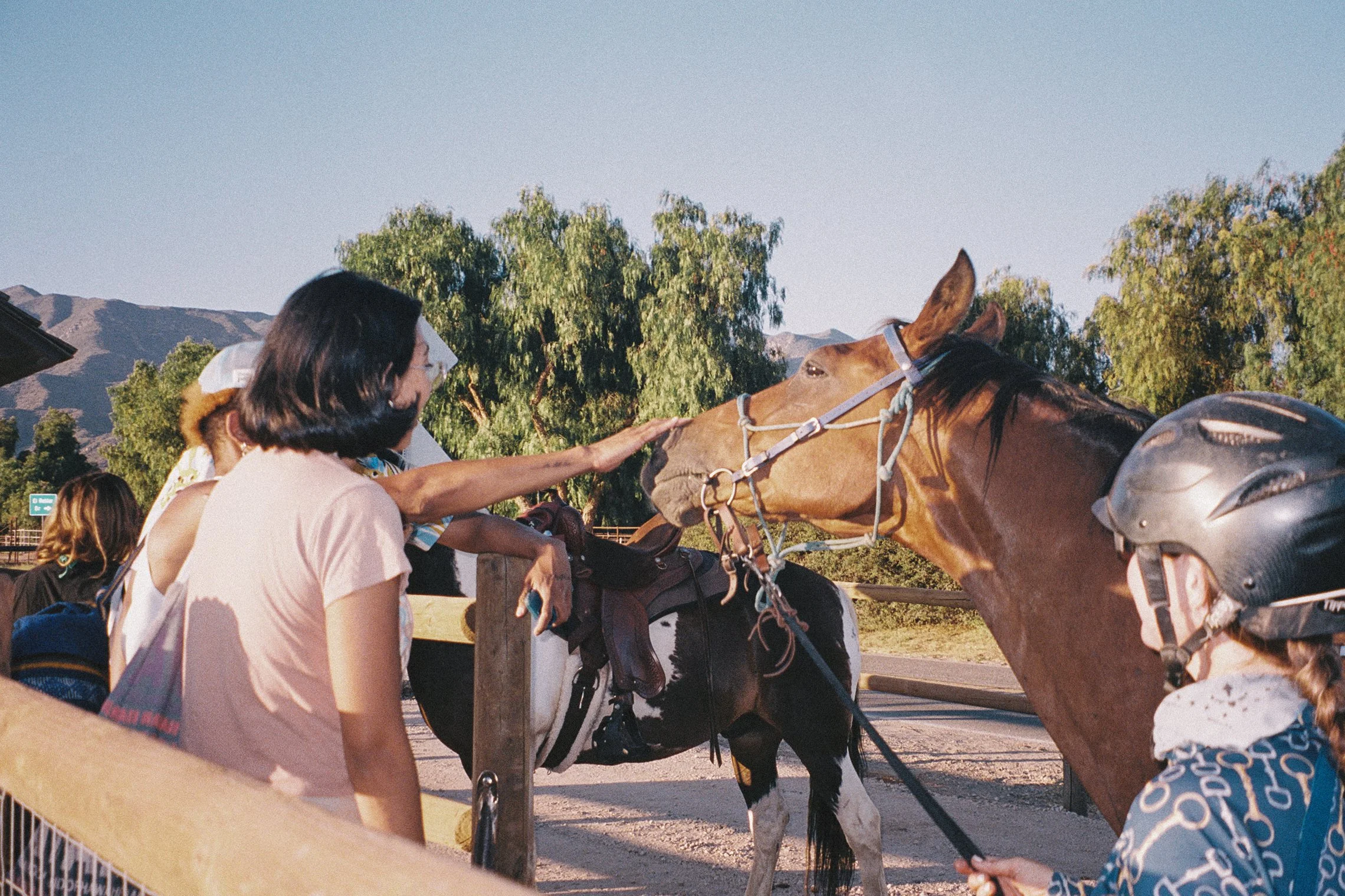ojai-070625-26.jpg