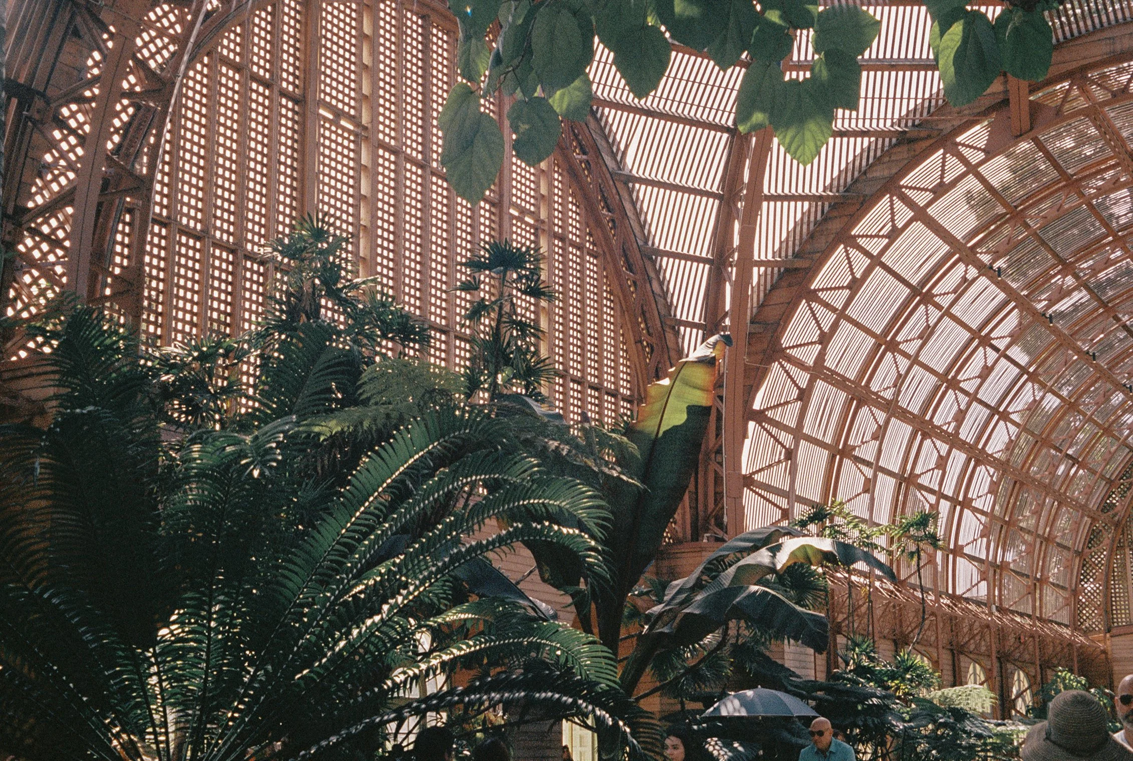 SAN DIEGO-4.jpg