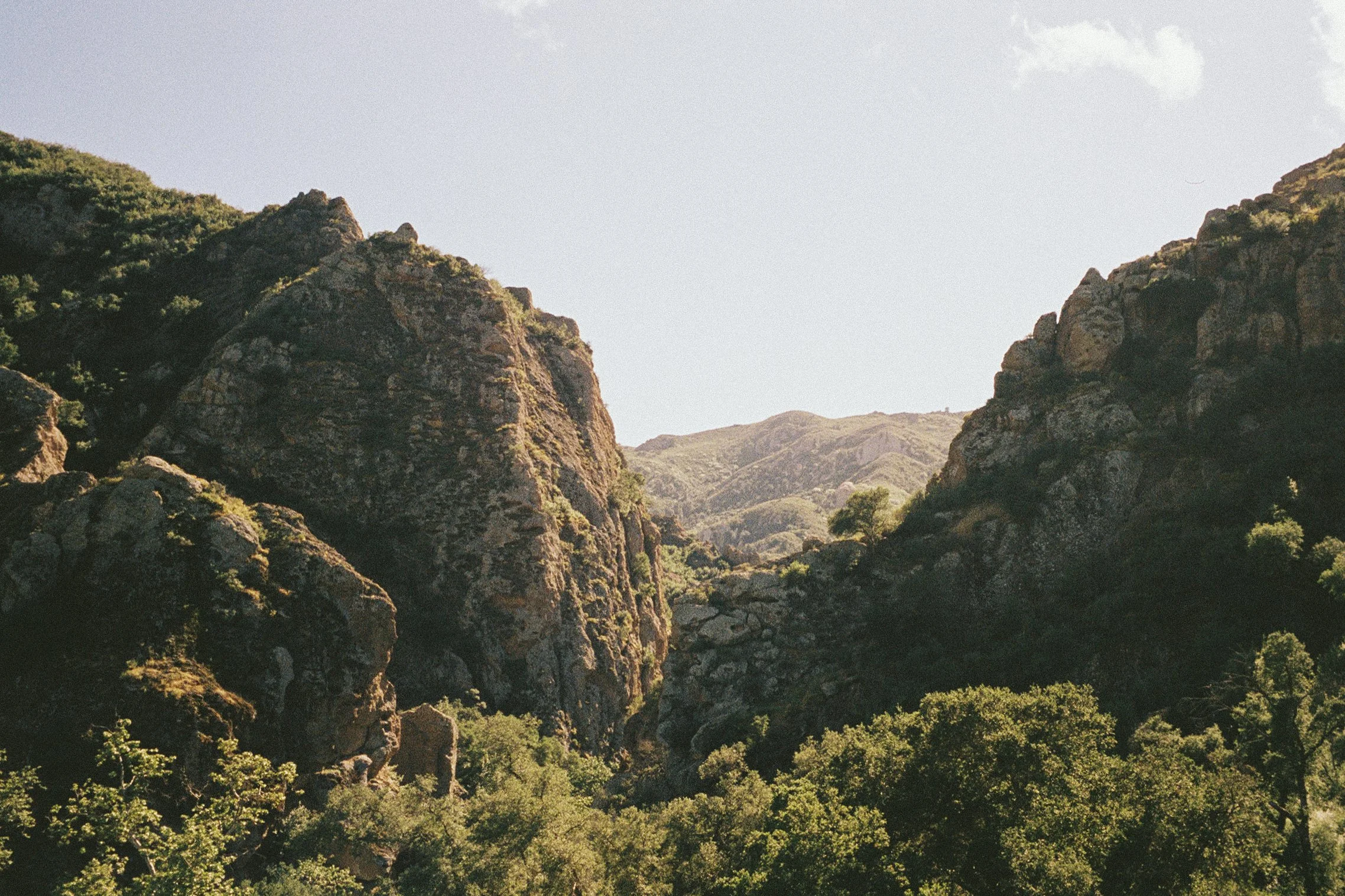 malibu creek state park-1.jpg
