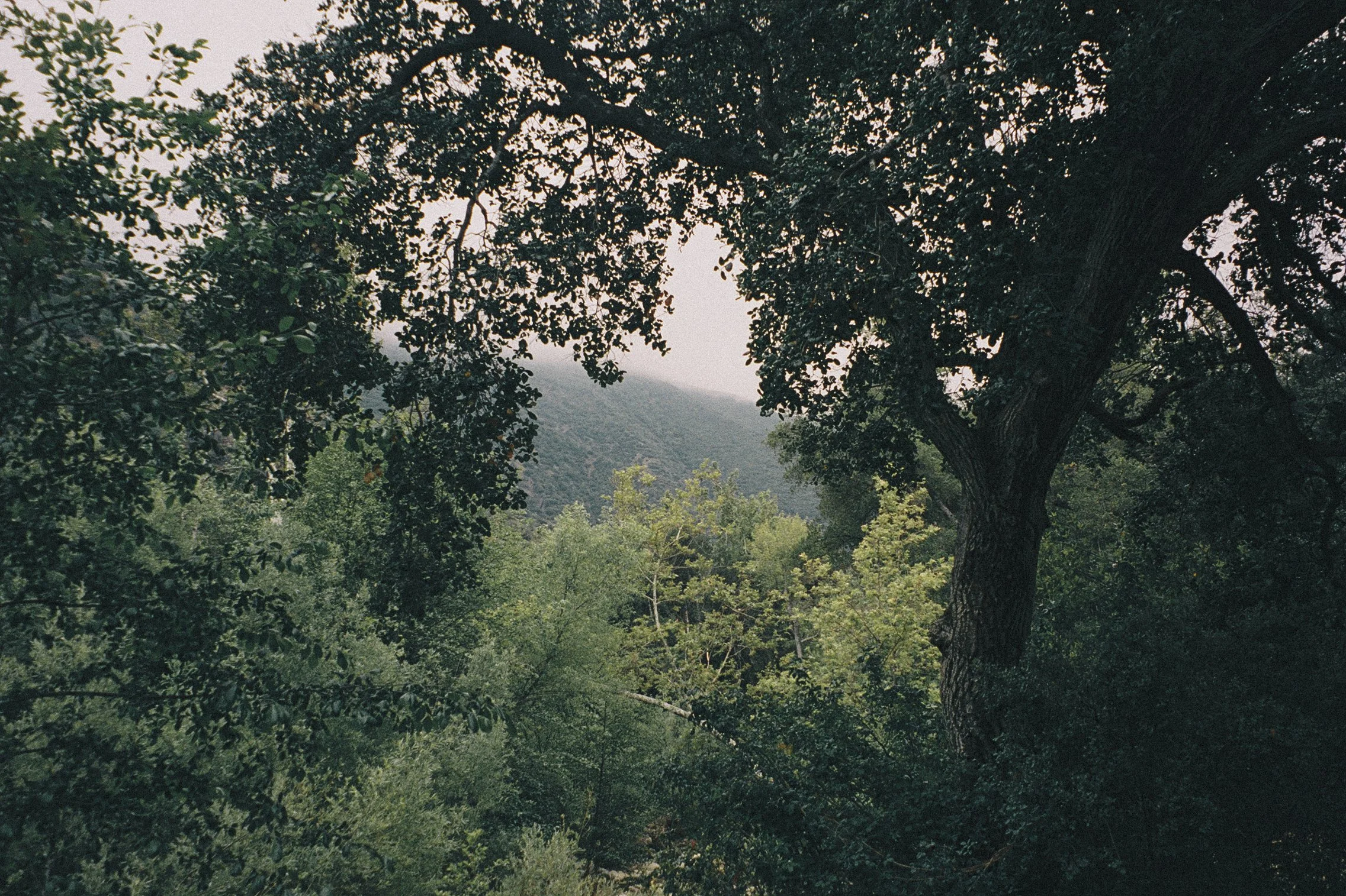 CAMPING-44.jpg