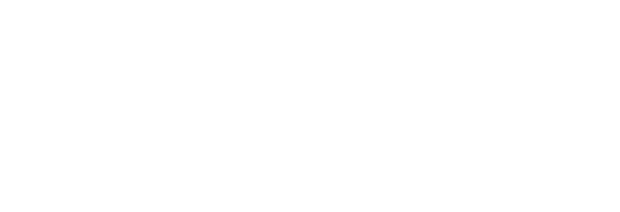 NM Fiber Network