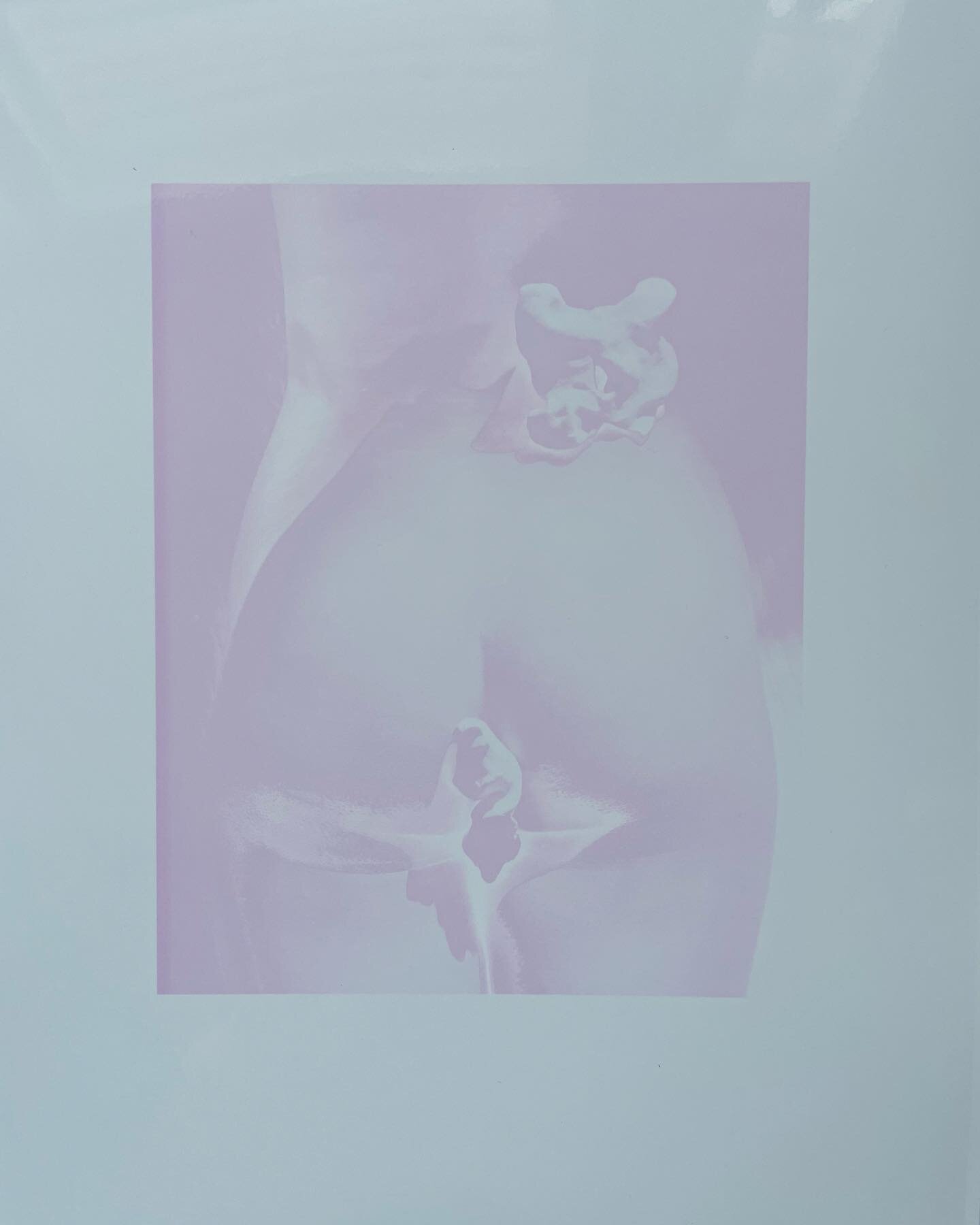 She 🦴 
.
.
.
#fineart #print #femmine