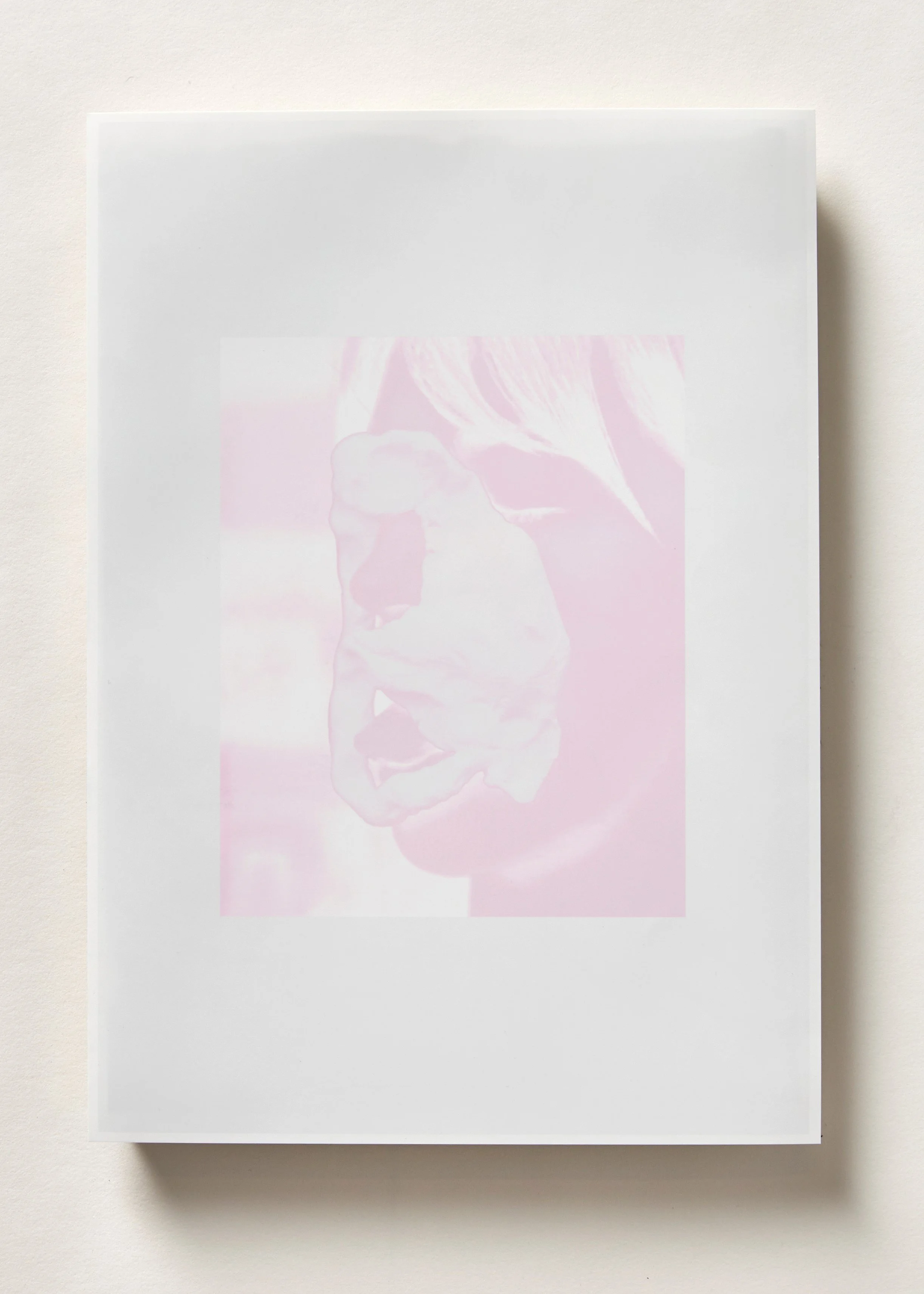Shebones Soft I, Inkjet on gloss, 210 x 297 mm (single edition)  
