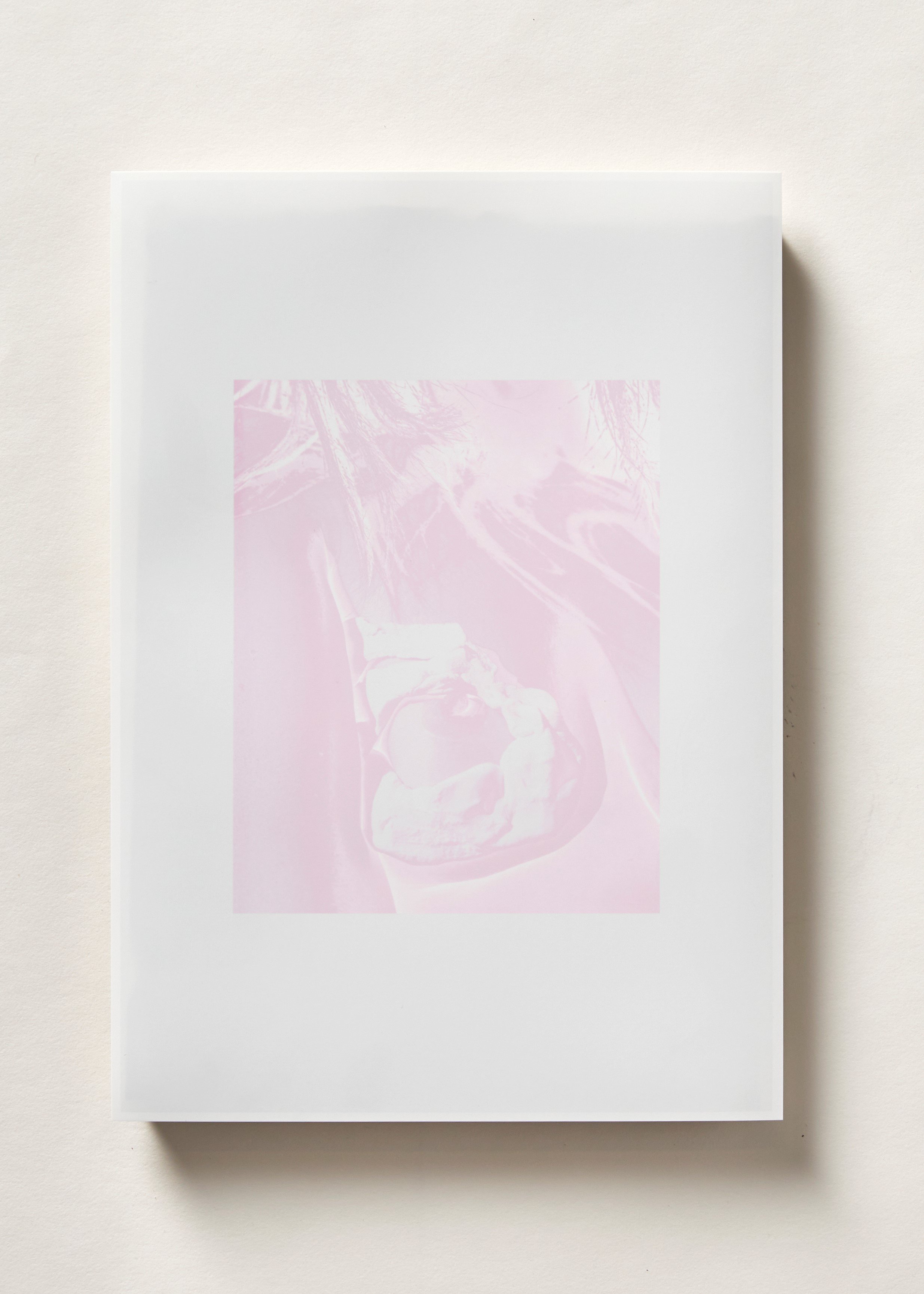Shebones Soft V, Inkjet on gloss, 210 x 297 mm (single edition) 