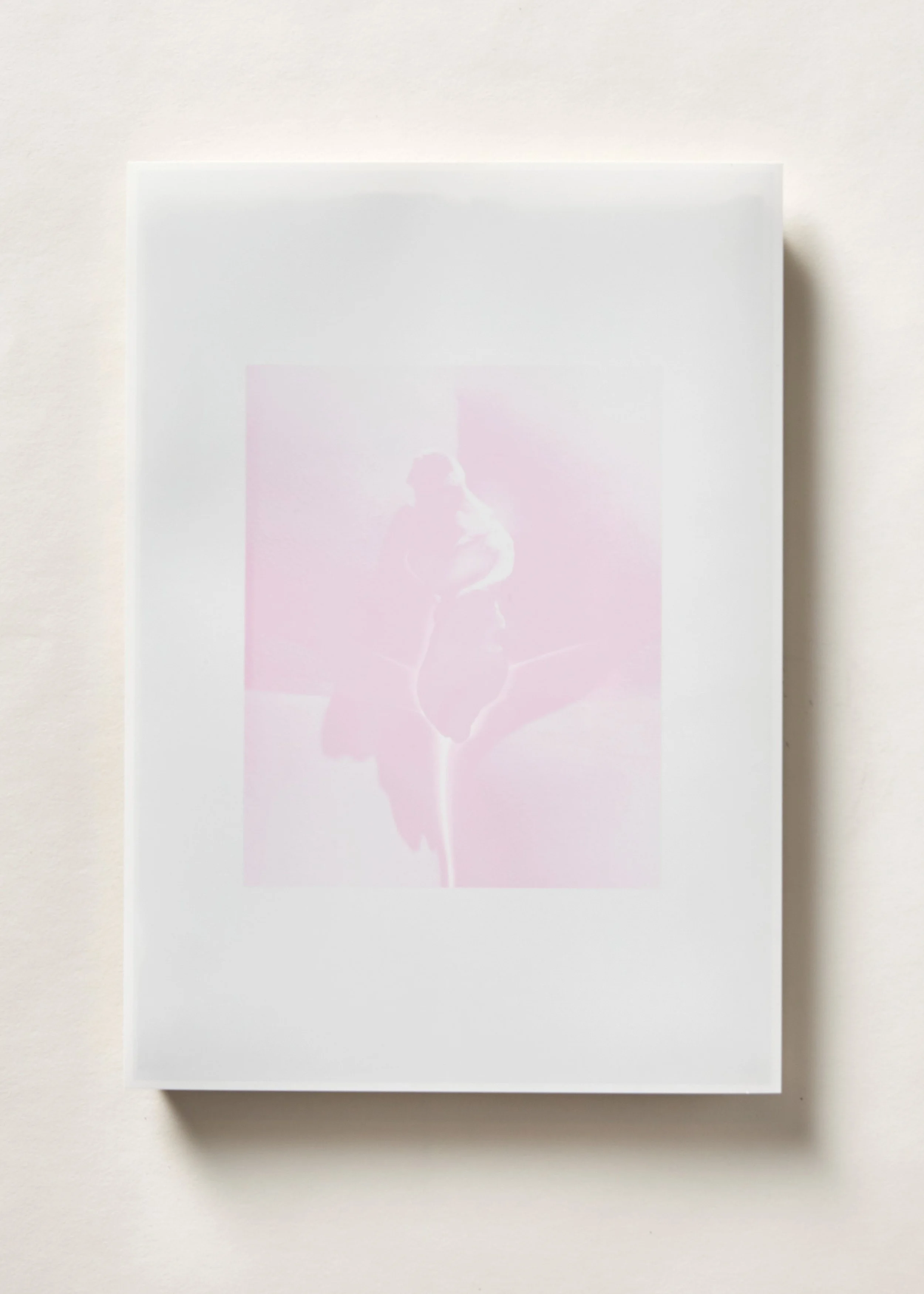 Shebones Soft VI, Inkjet on gloss, 210 x 297 mm (single edition) 